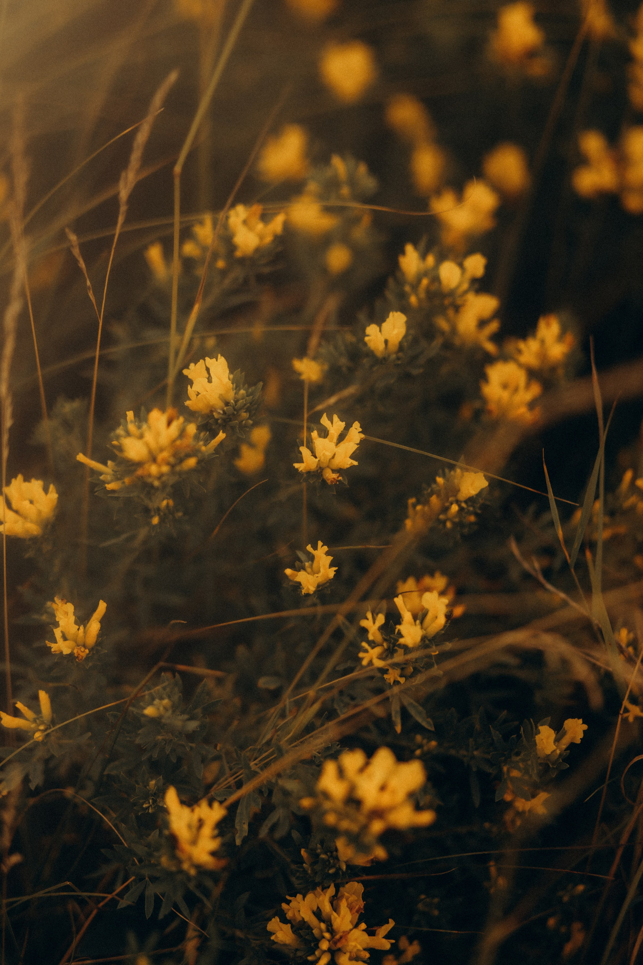 Together to the ends of the world. Головна