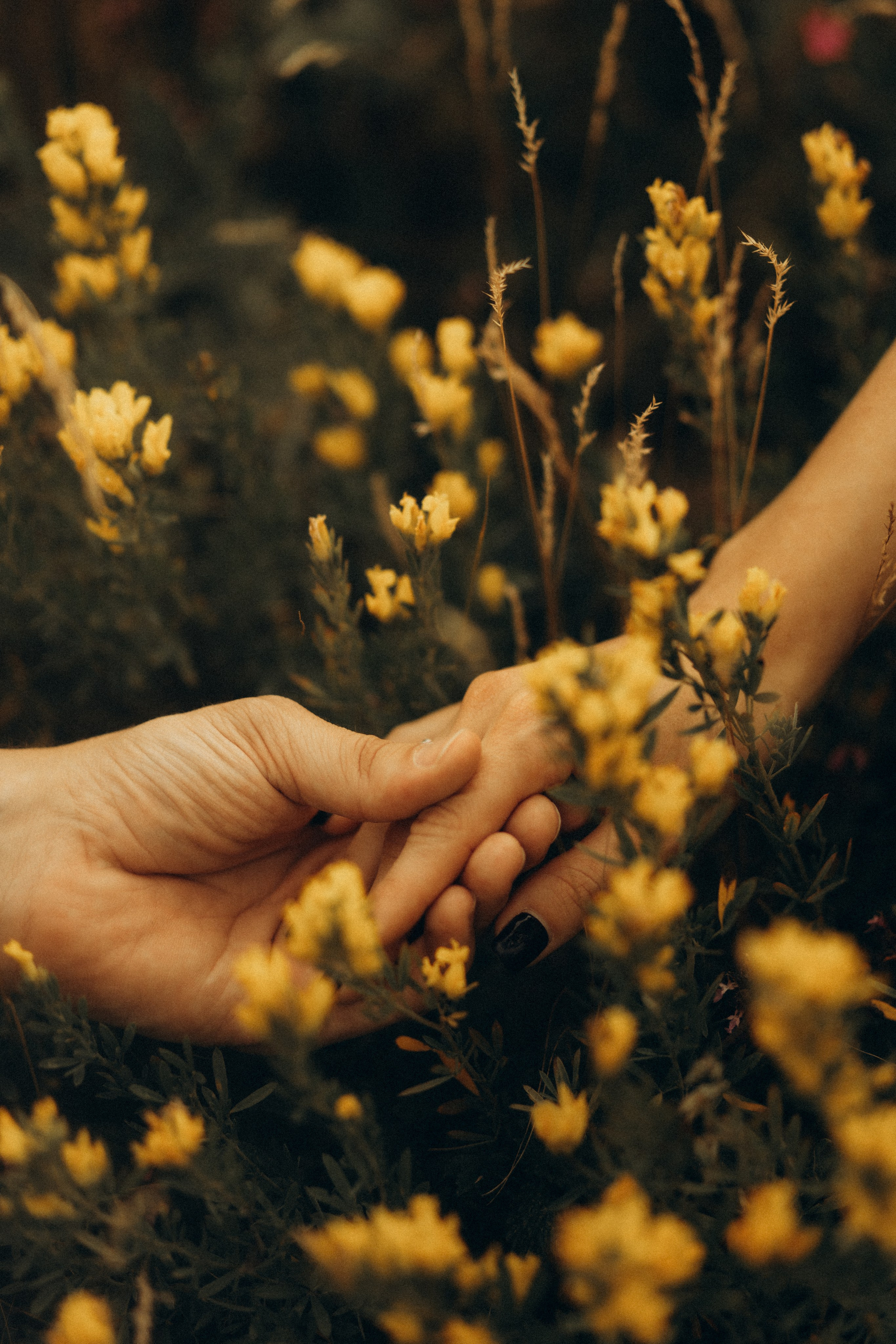 Together to the ends of the world. Головна