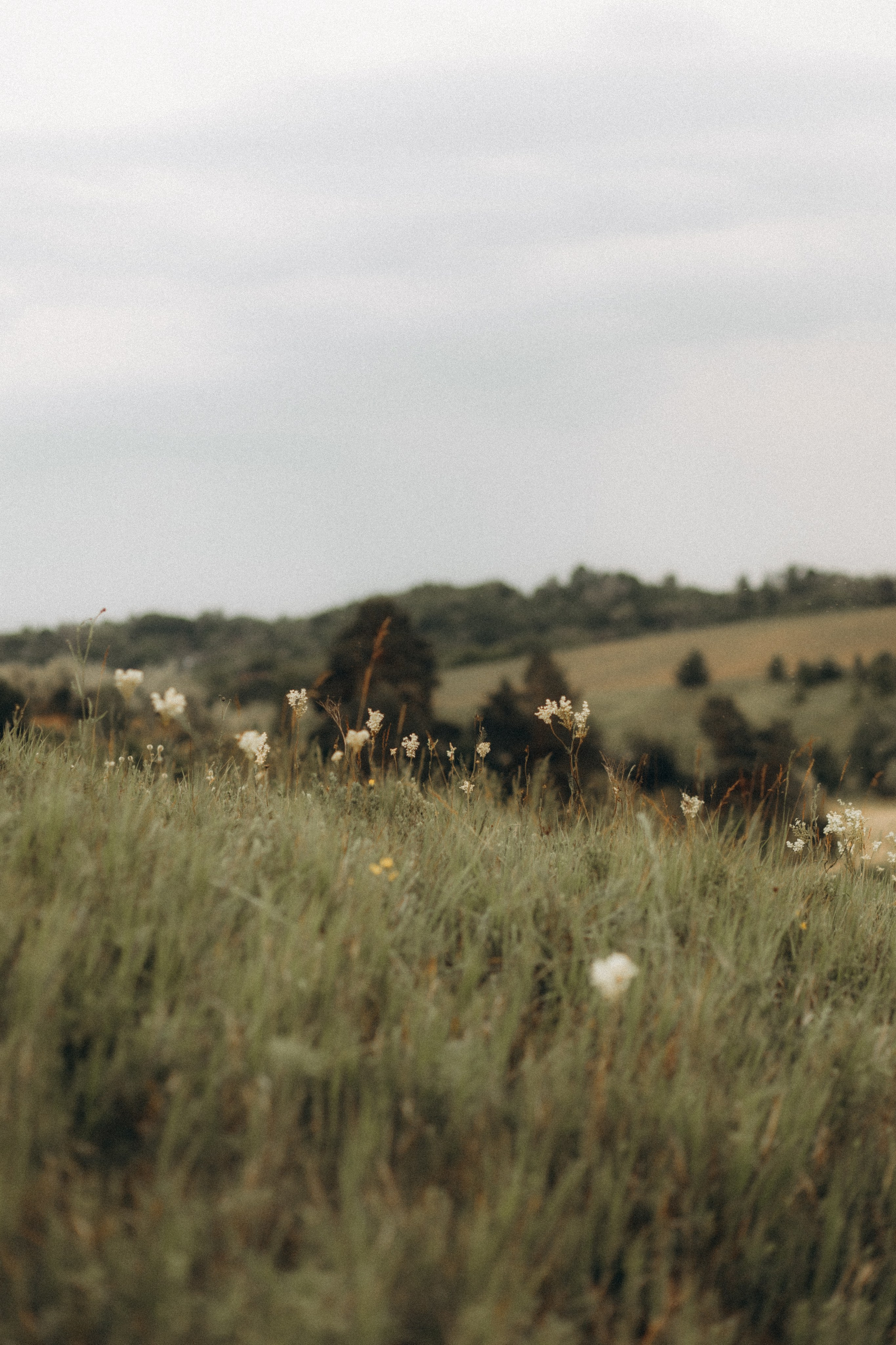 Наші серця. Головна