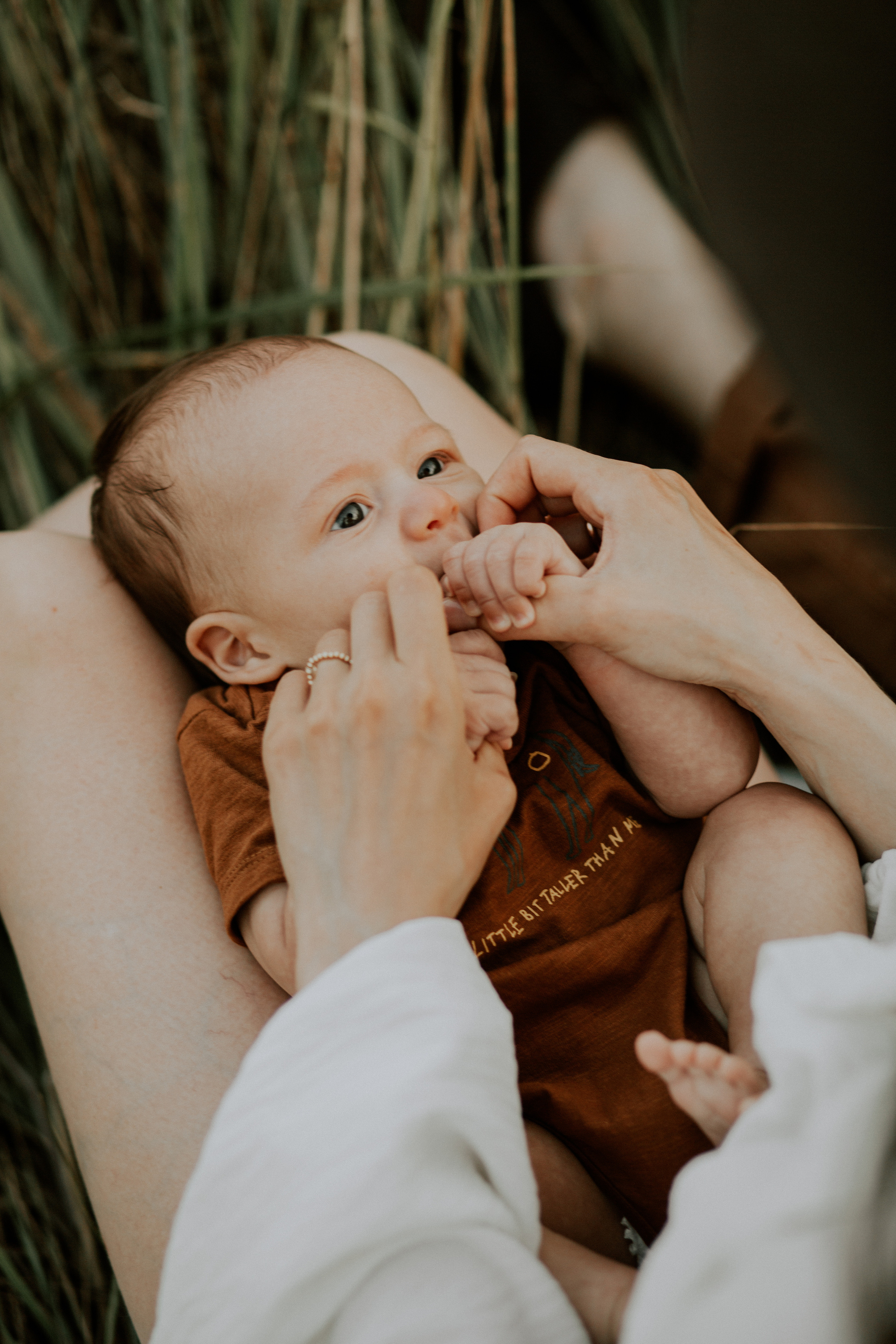 Юля+Андрей+Лев. Головна