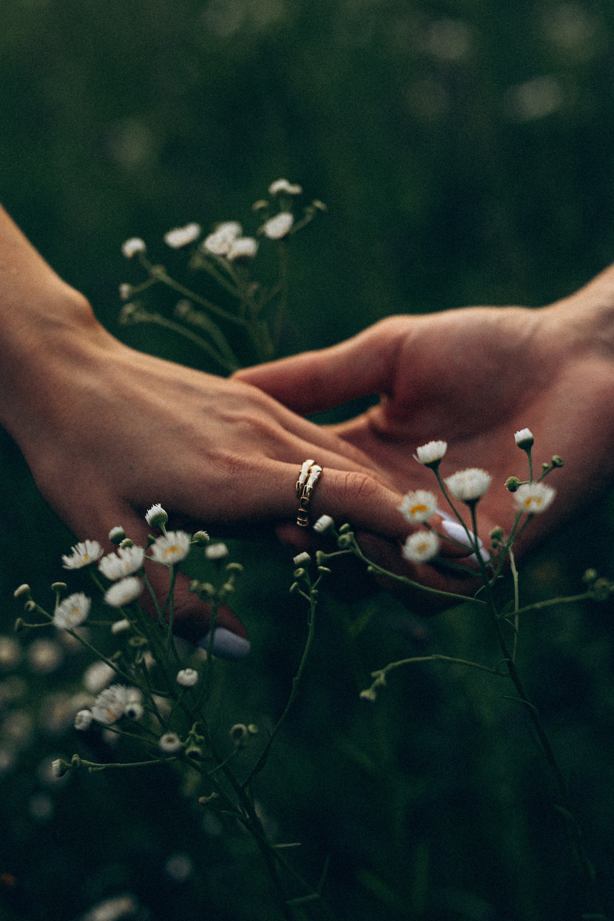 Історія одного дощу. Головна