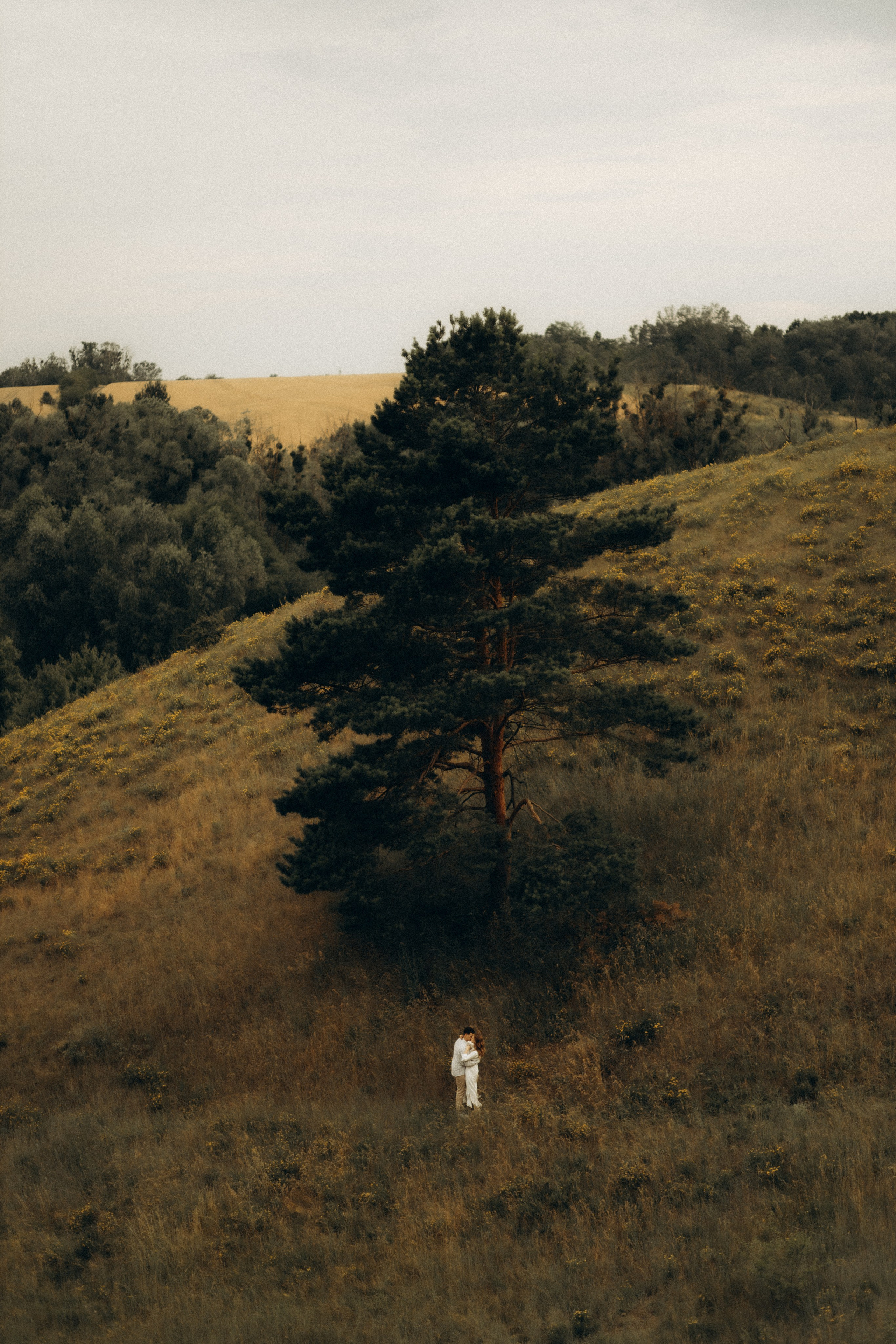 Together to the ends of the world. Головна