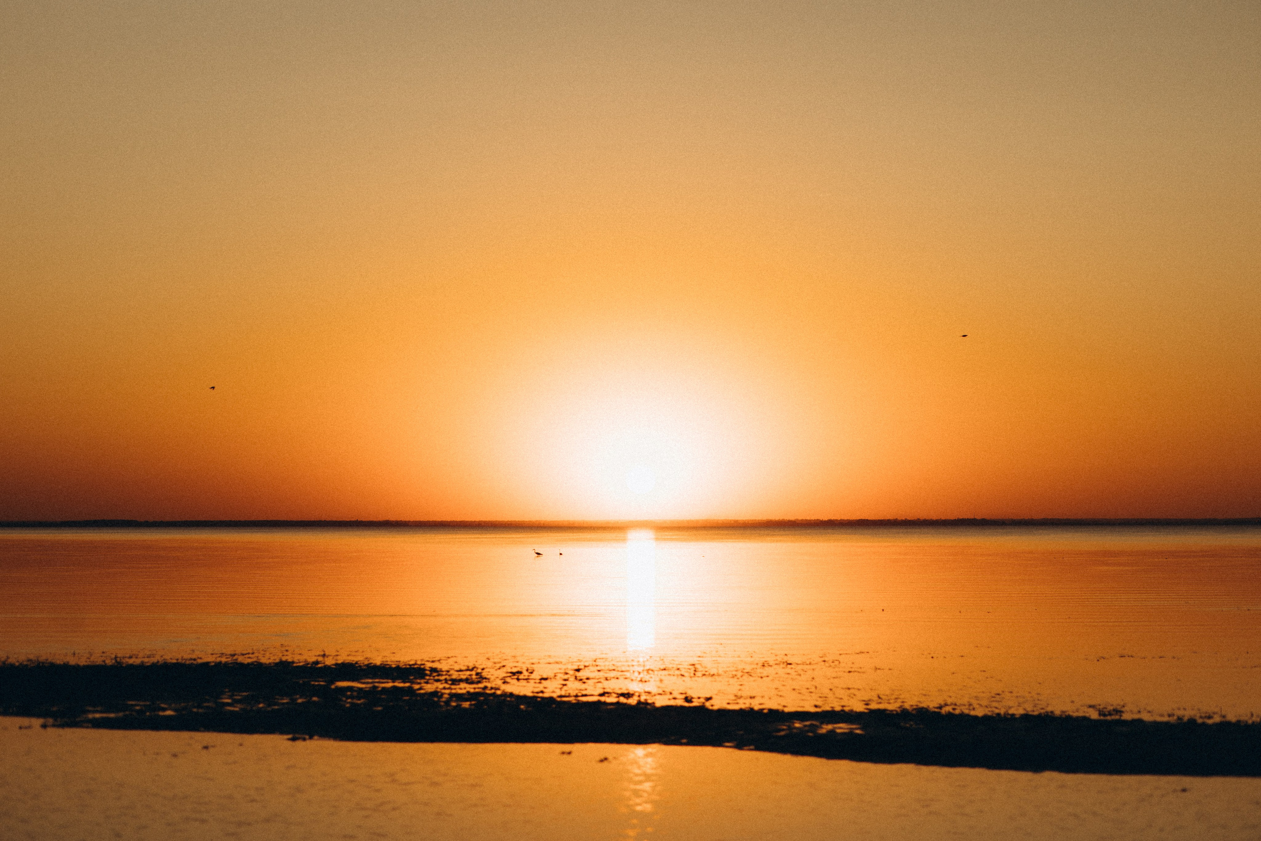 Твої дотики. Головна