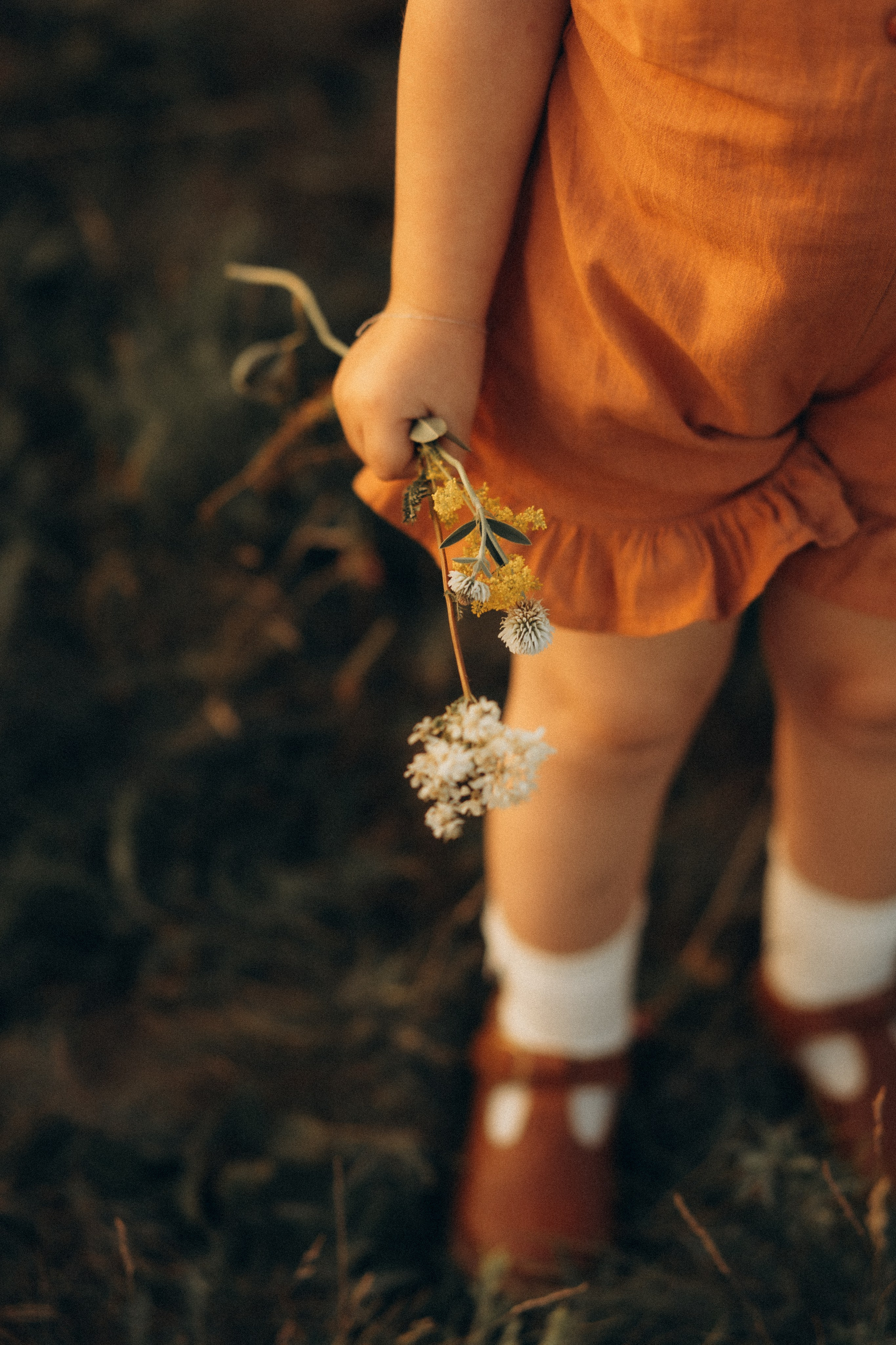 Stories of summer family days. Головна