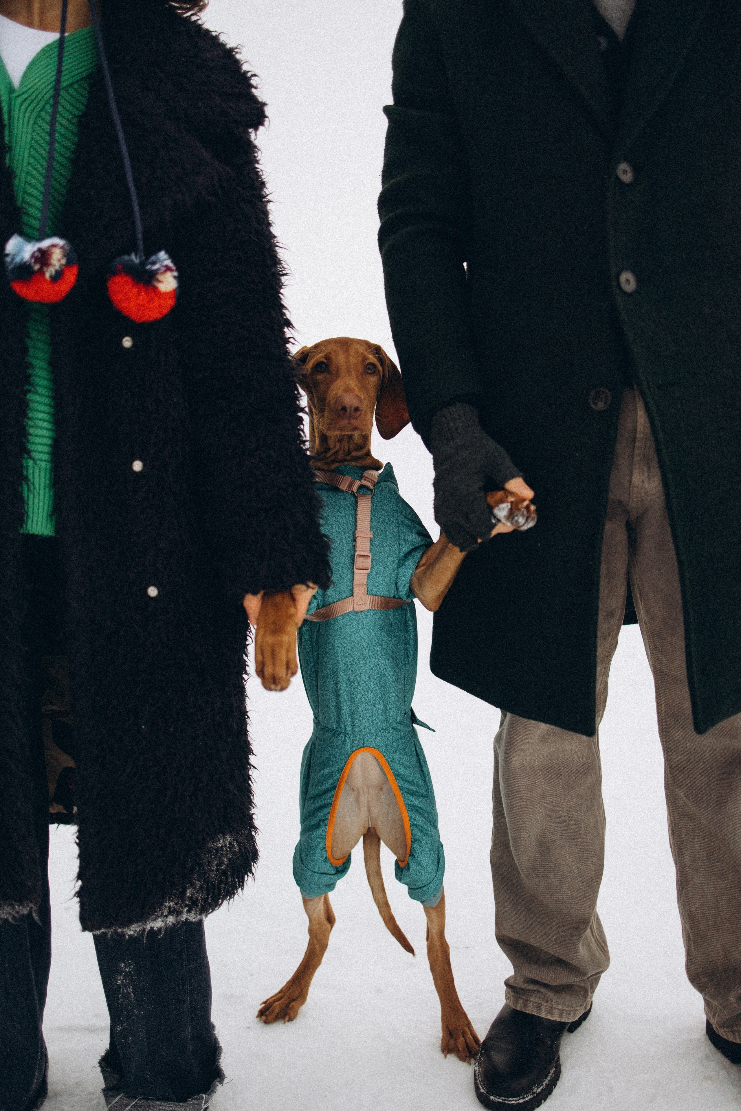 Будь моїм берегом. Сімейні фотографи Артем і Таїсія Ступак