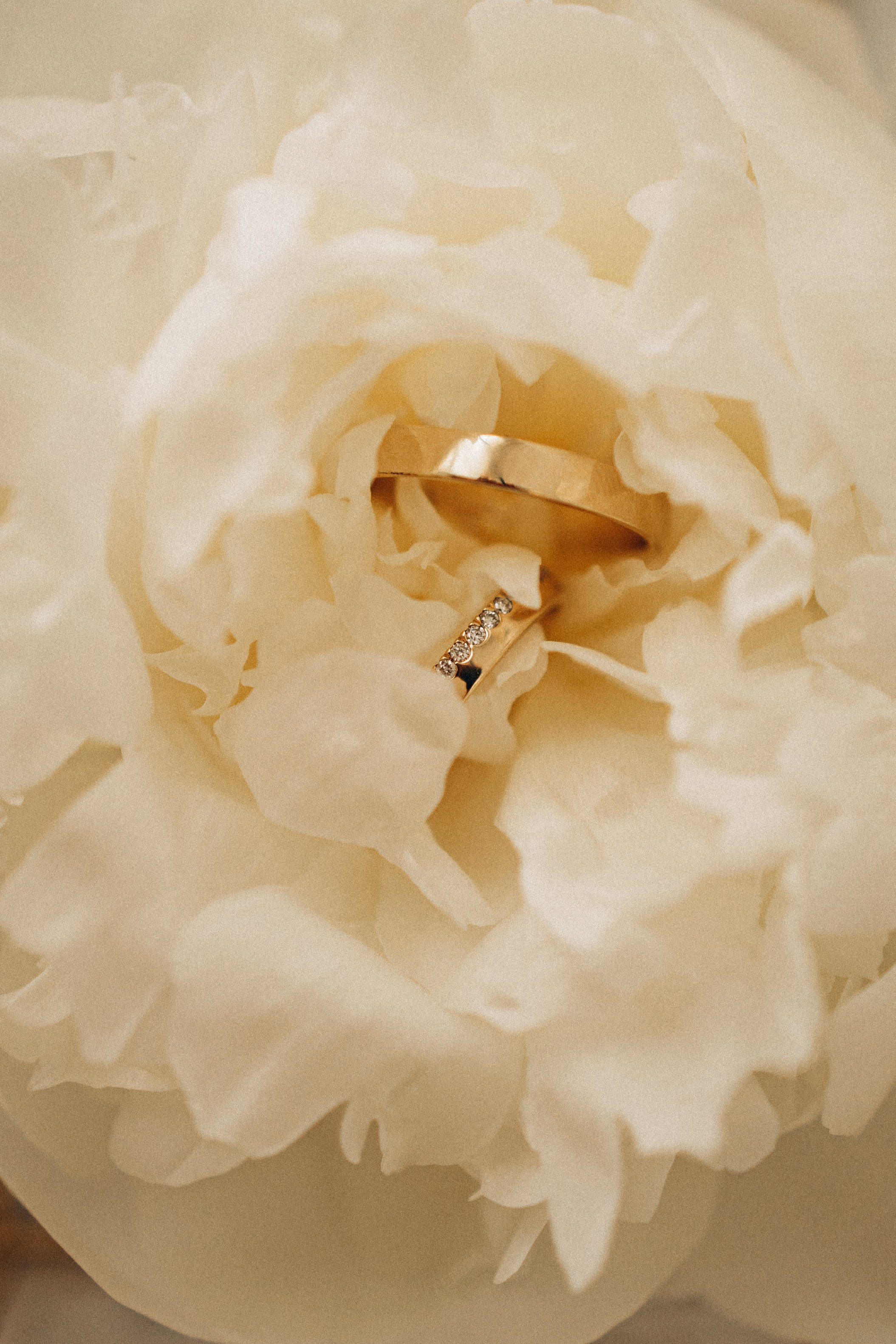 LOVE. Головна