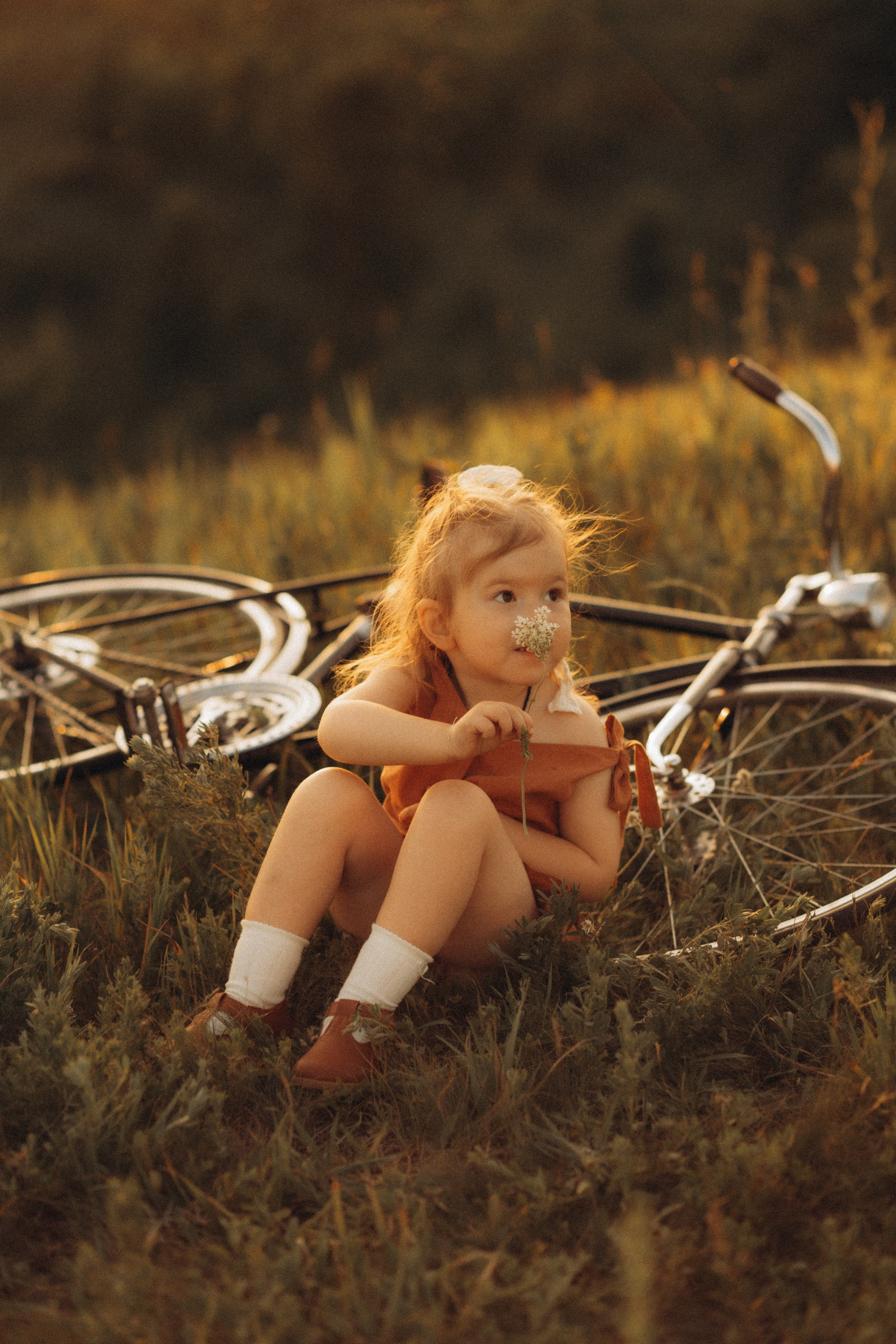 Stories of summer family days. Головна