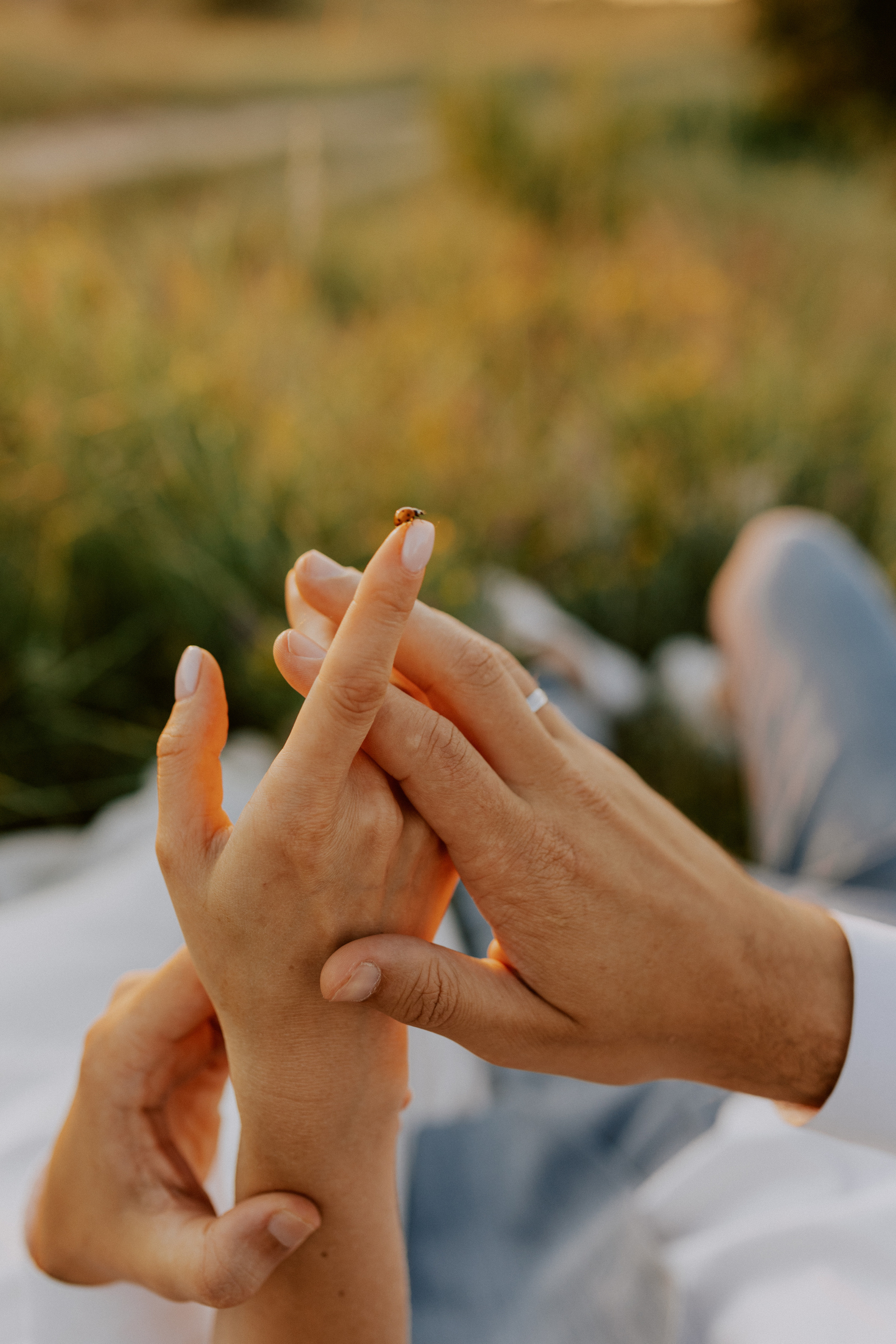 Вика+Тим. Головна