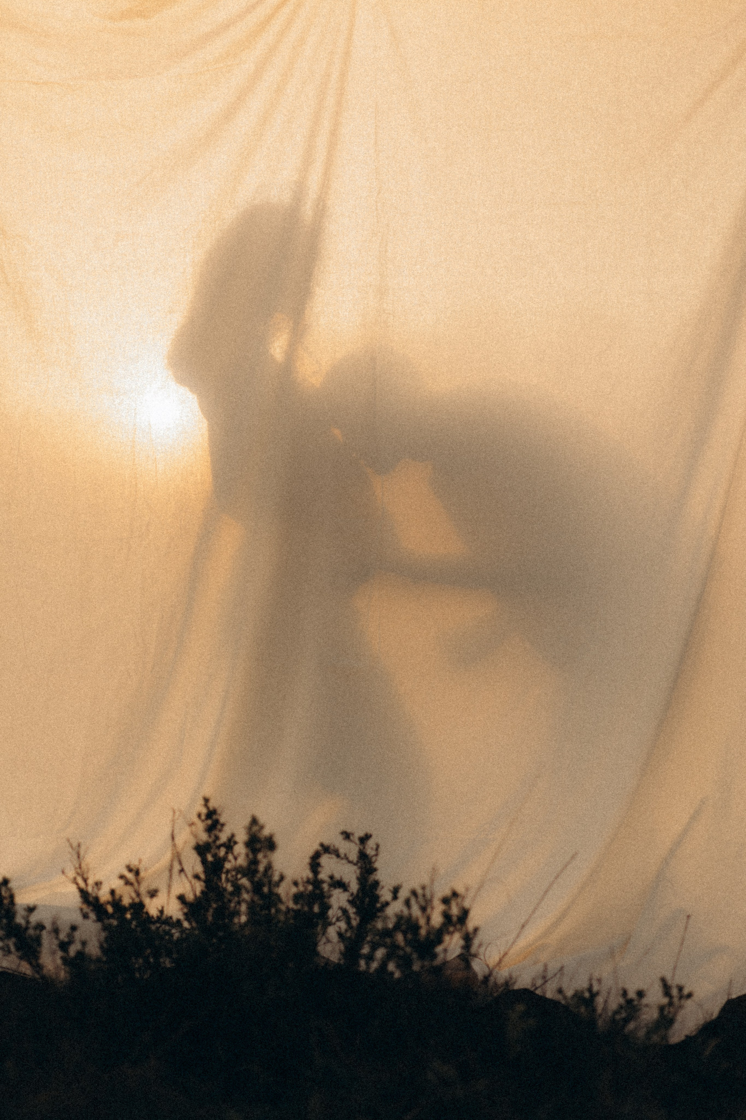 Ти мій Дім. Головна