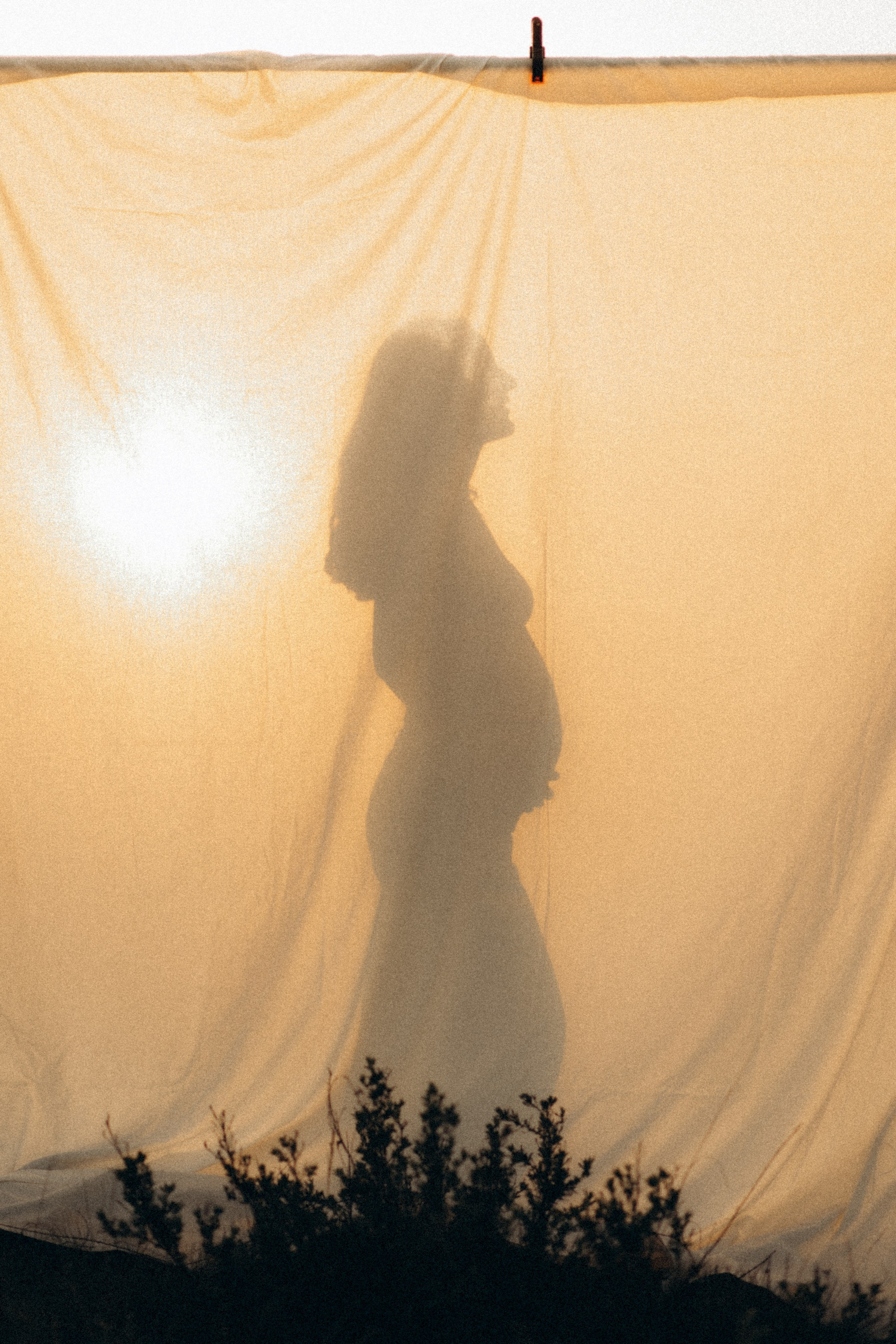 Ти мій Дім. Головна