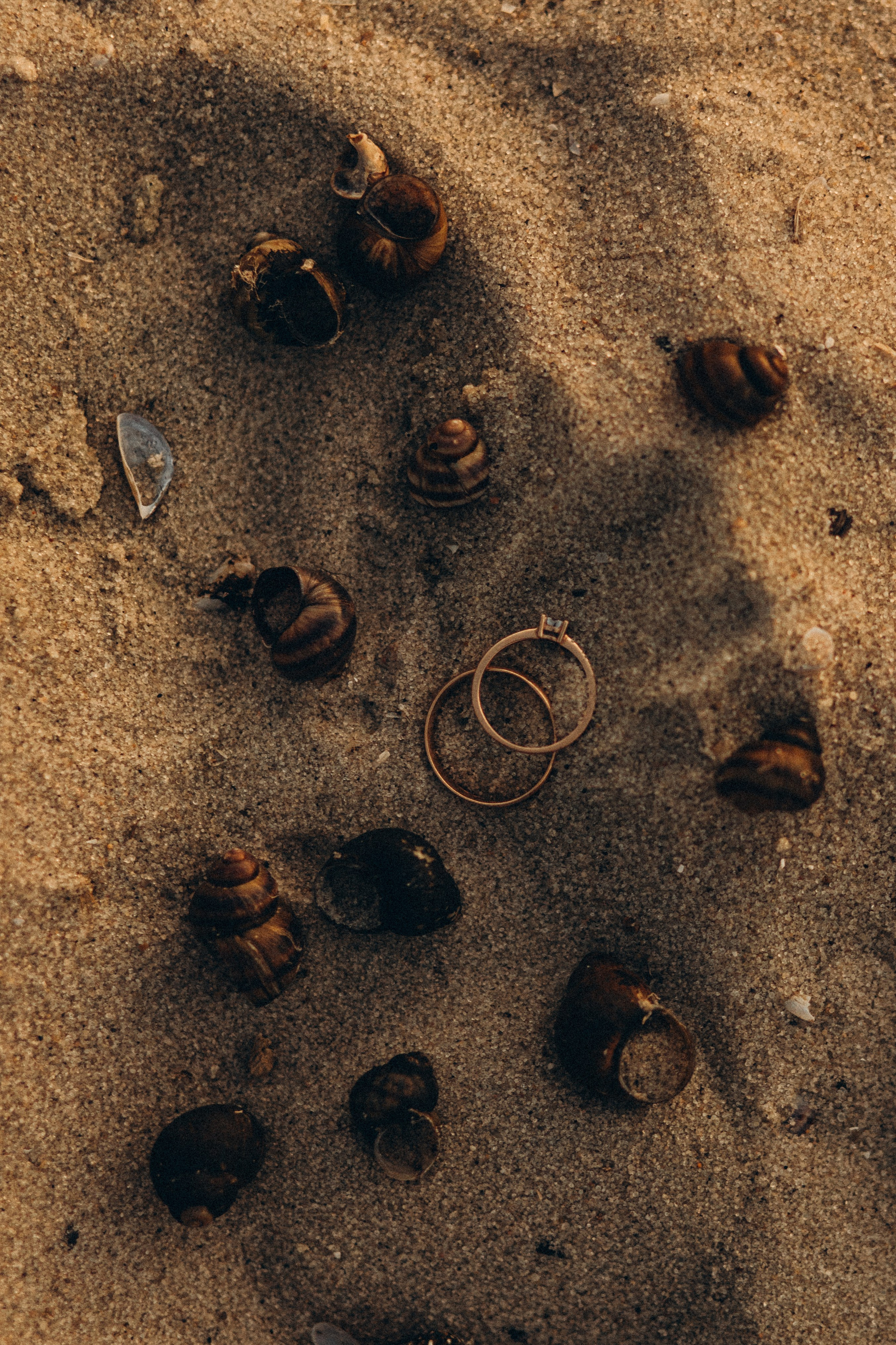 Твої дотики. Головна