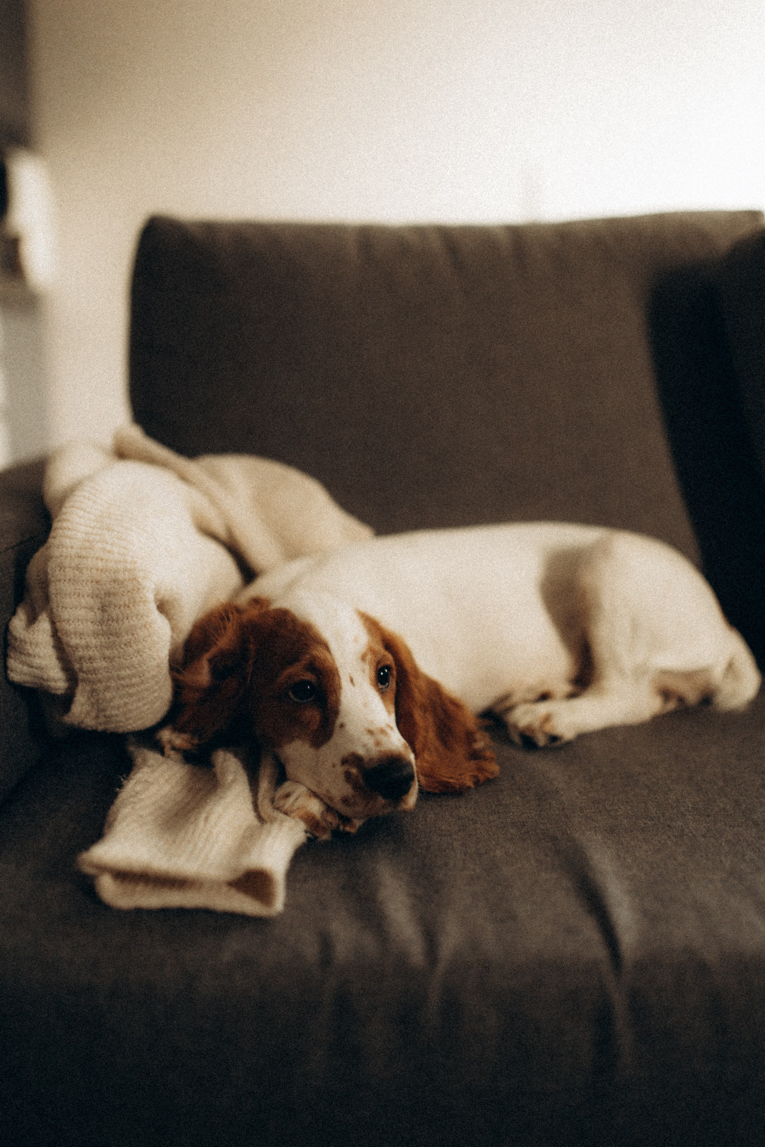 Рідні душі. Головна