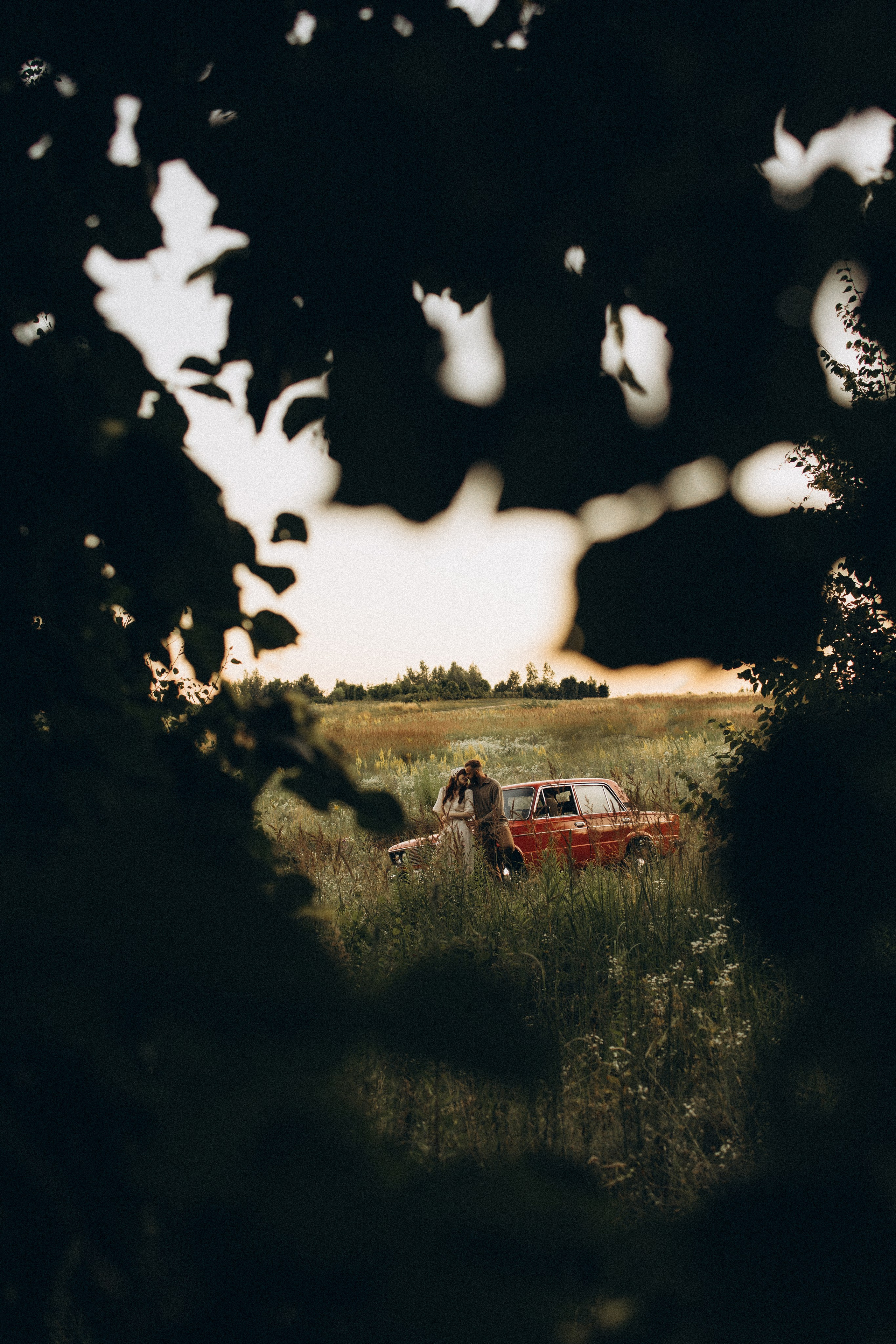 Літня історія. Головна