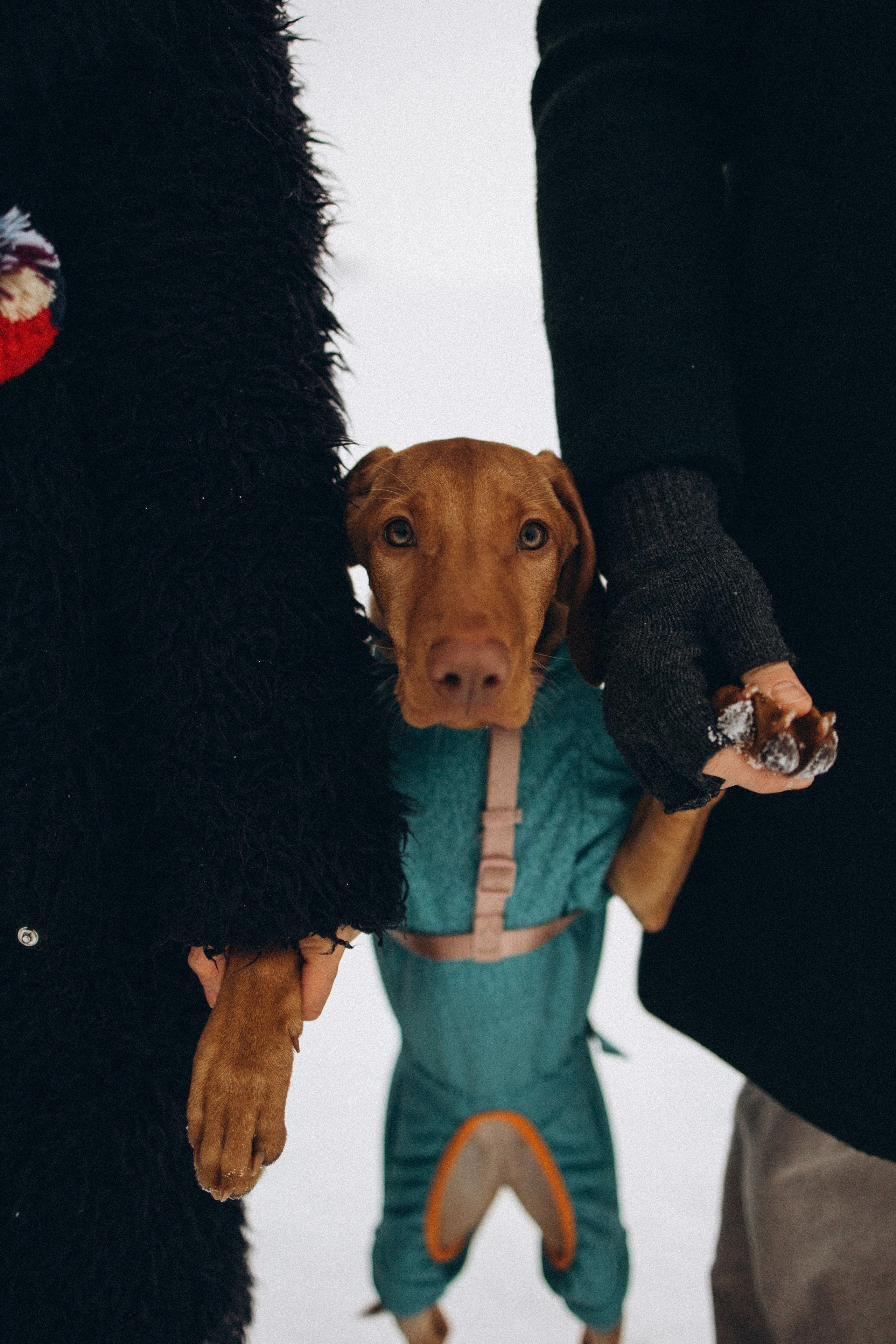 Будь моїм берегом. Сімейні фотографи Артем і Таїсія Ступак