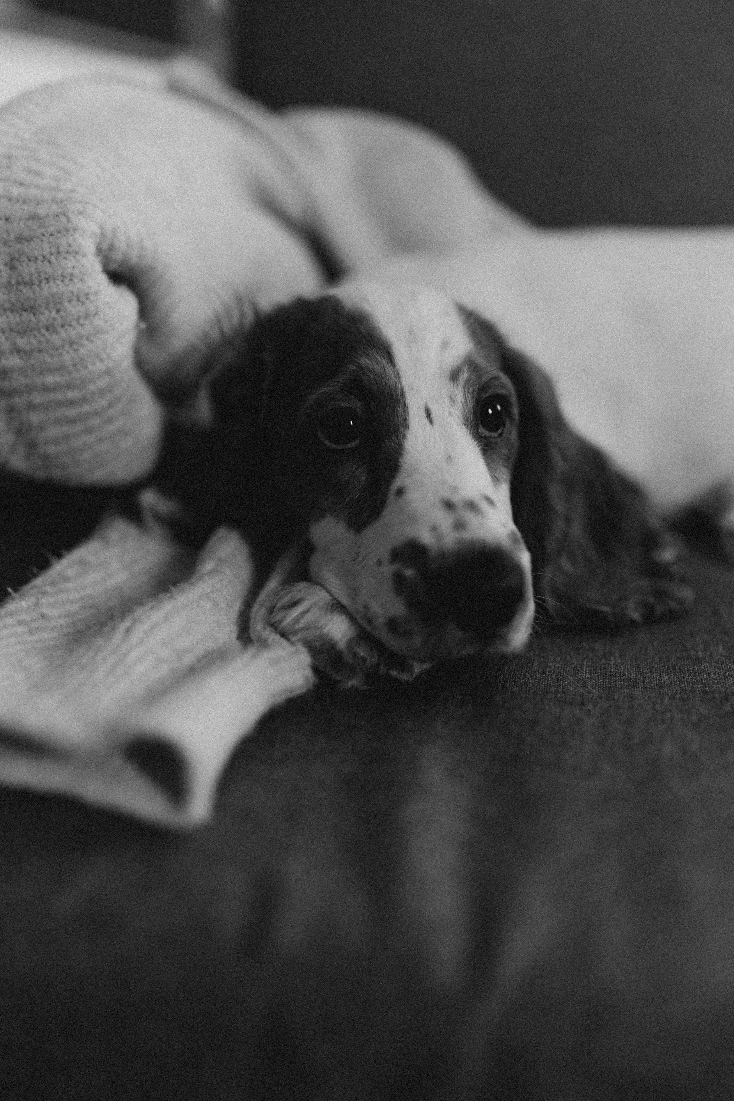 Рідні душі. Головна