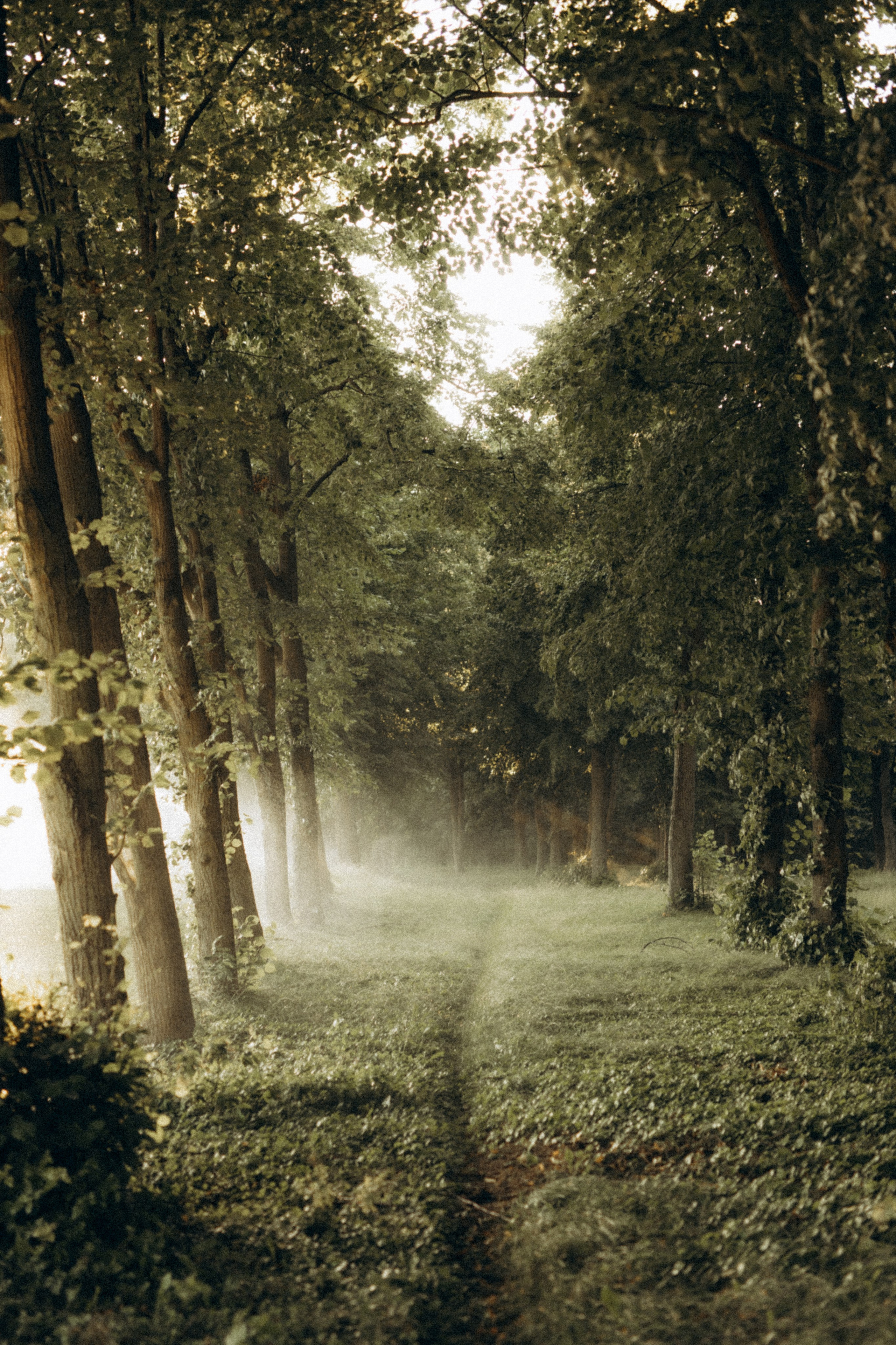 Люблю тебе. Головна