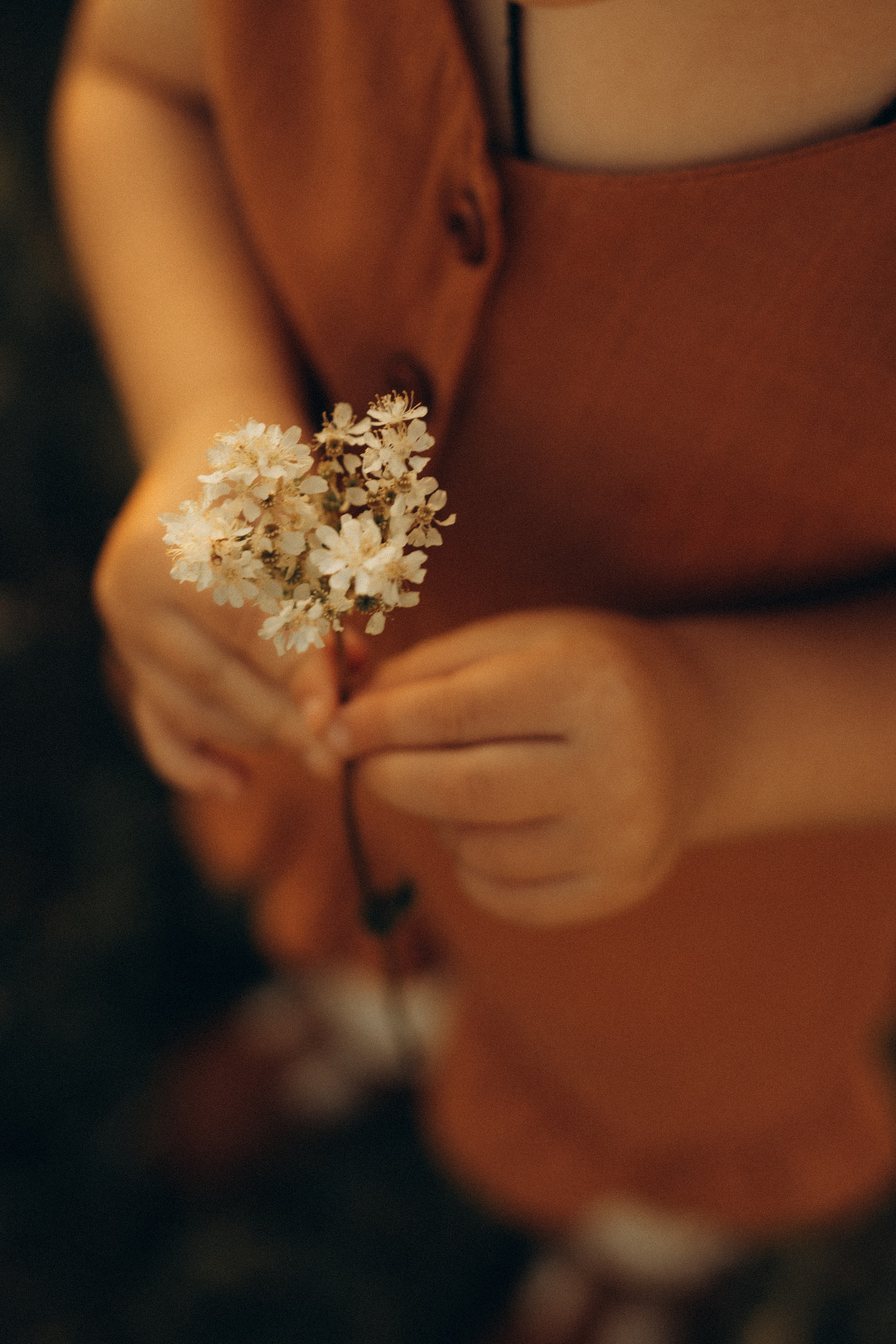 Stories of summer family days. Головна