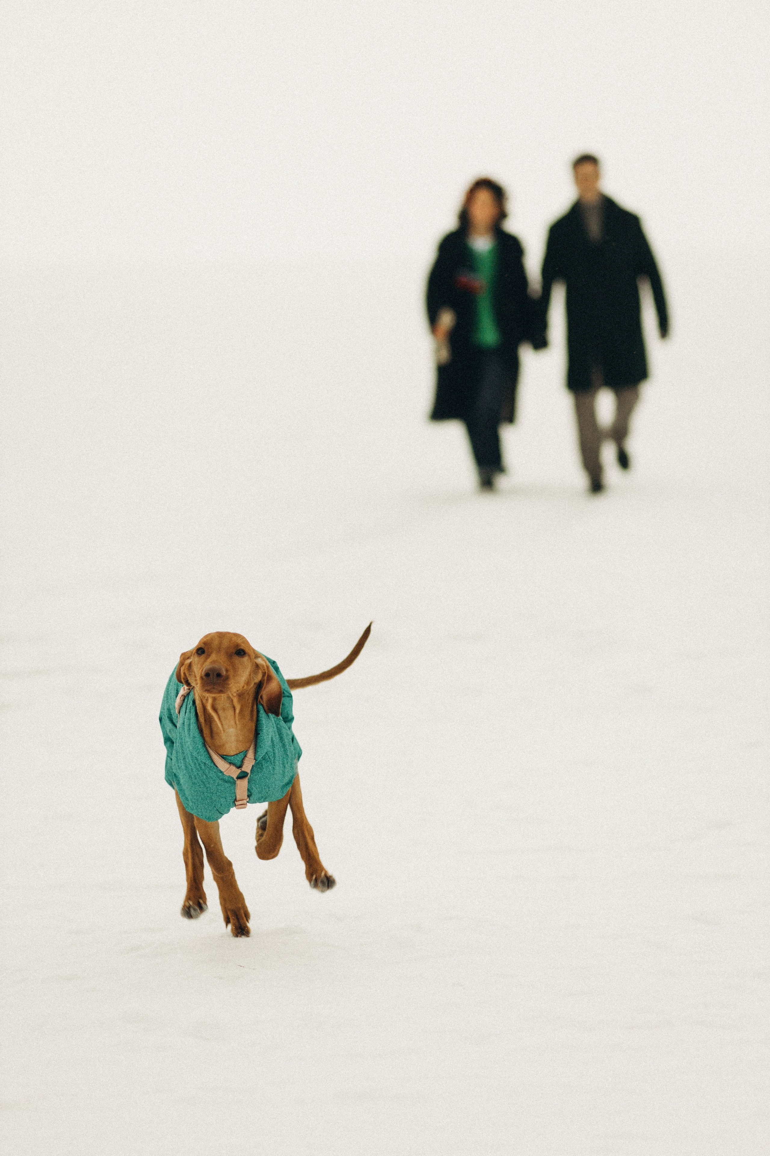 Будь моїм берегом. Сімейні фотографи Артем і Таїсія Ступак