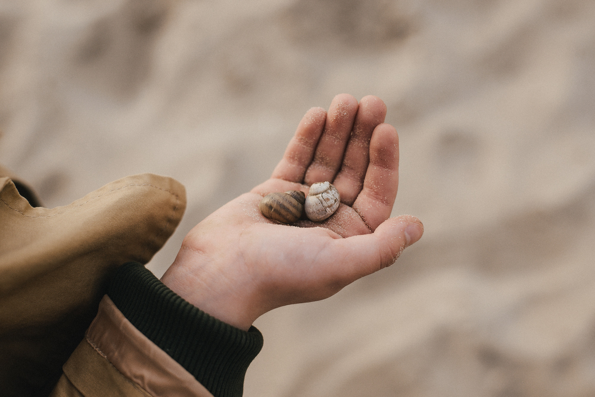 Віталій та Діма. Сімейний, весільний, портретний та репортажний фотограф в Києві