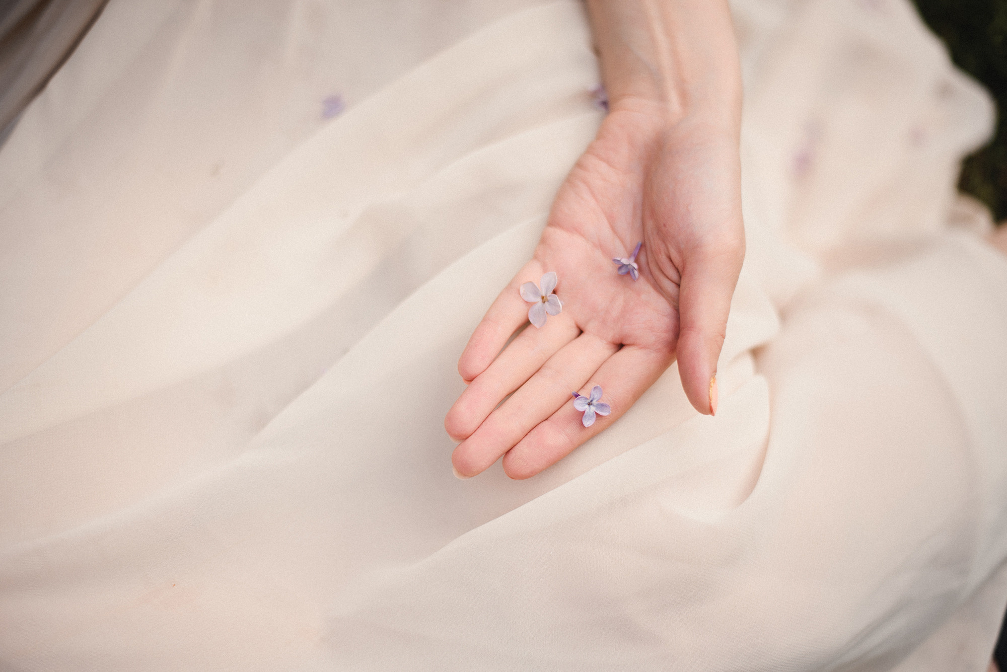 Зоряна. Сімейний, весільний, портретний та репортажний фотограф в Києві