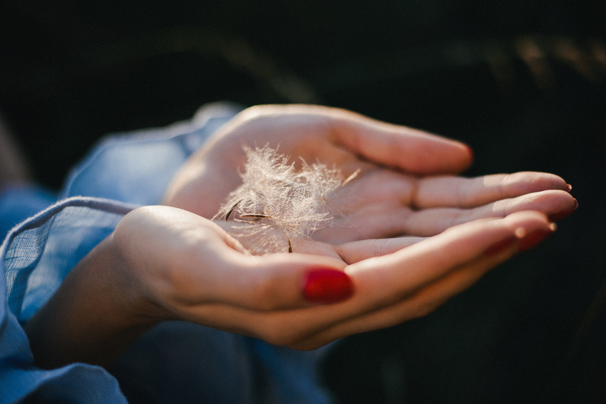 Крістіана. Сімейний, весільний, портретний та репортажний фотограф в Києві