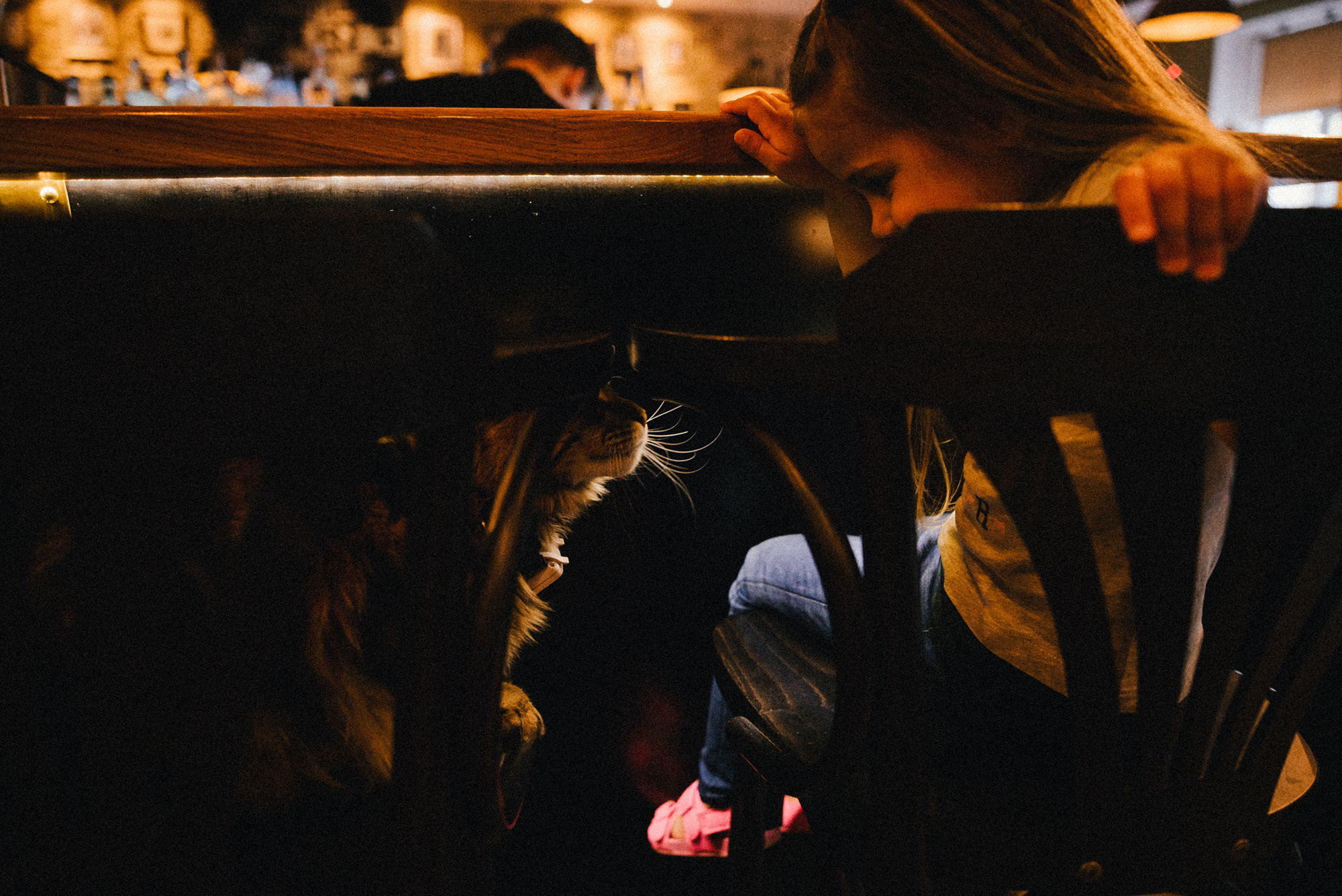 Женя, Ілля та Надя. Сімейний, весільний, портретний та репортажний фотограф в Києві