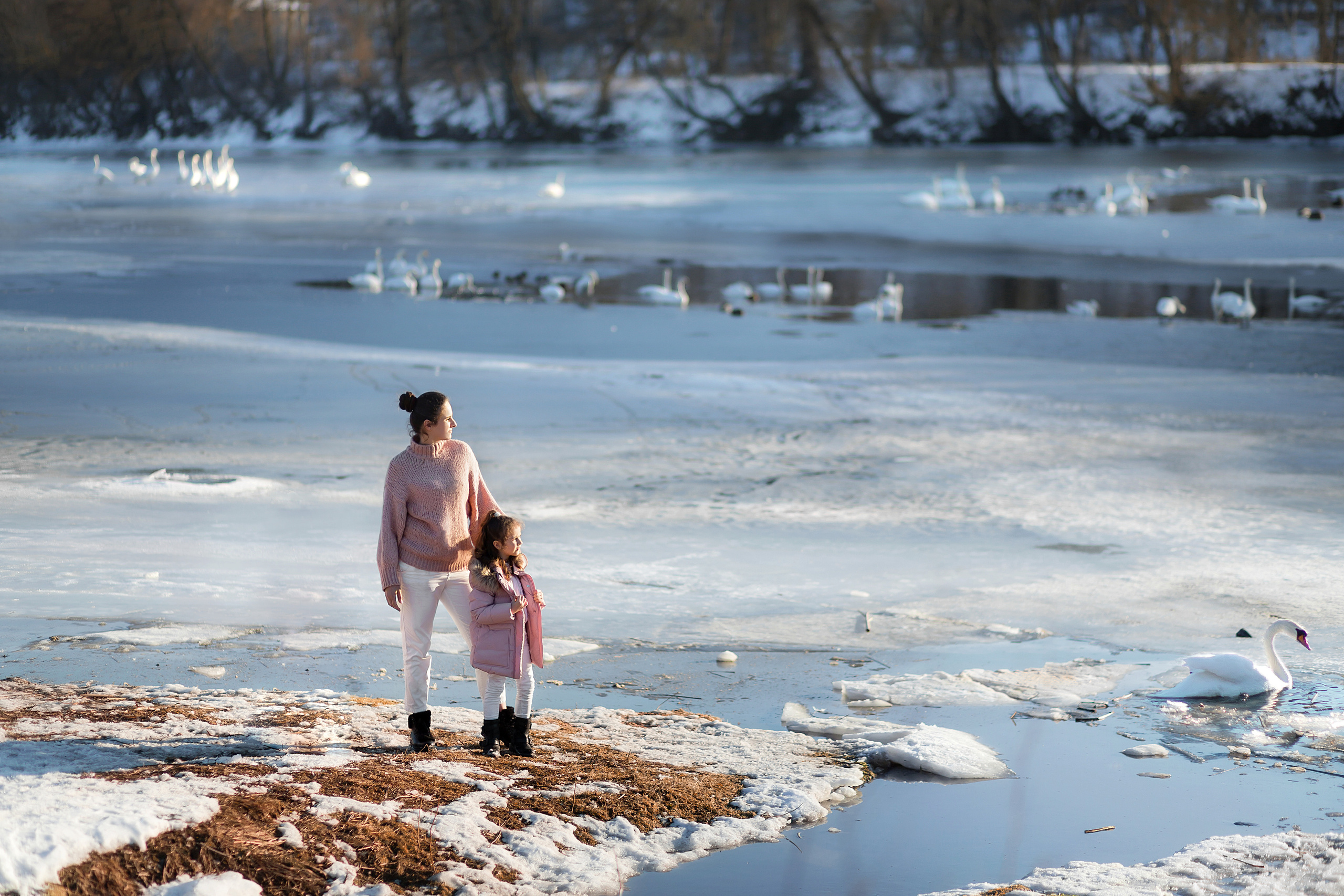 Сім’я / діти. Професійний фотограф в Вінниці Наталя Король