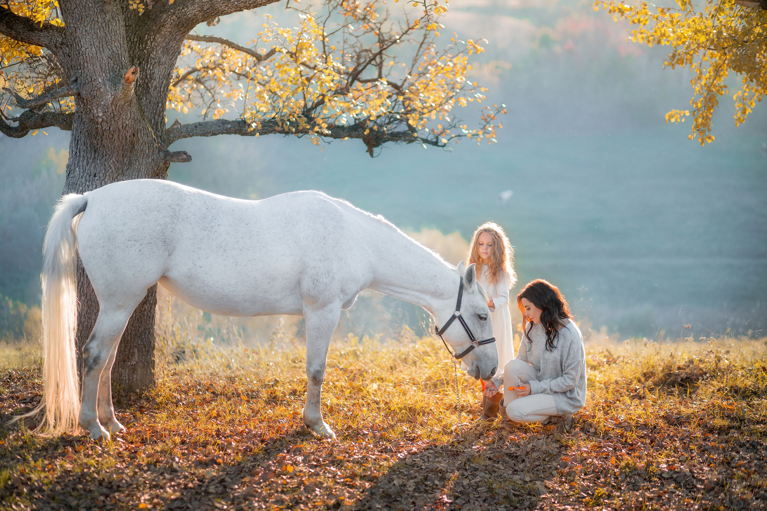 Сім’я / діти. Професійний фотограф в Вінниці Наталя Король