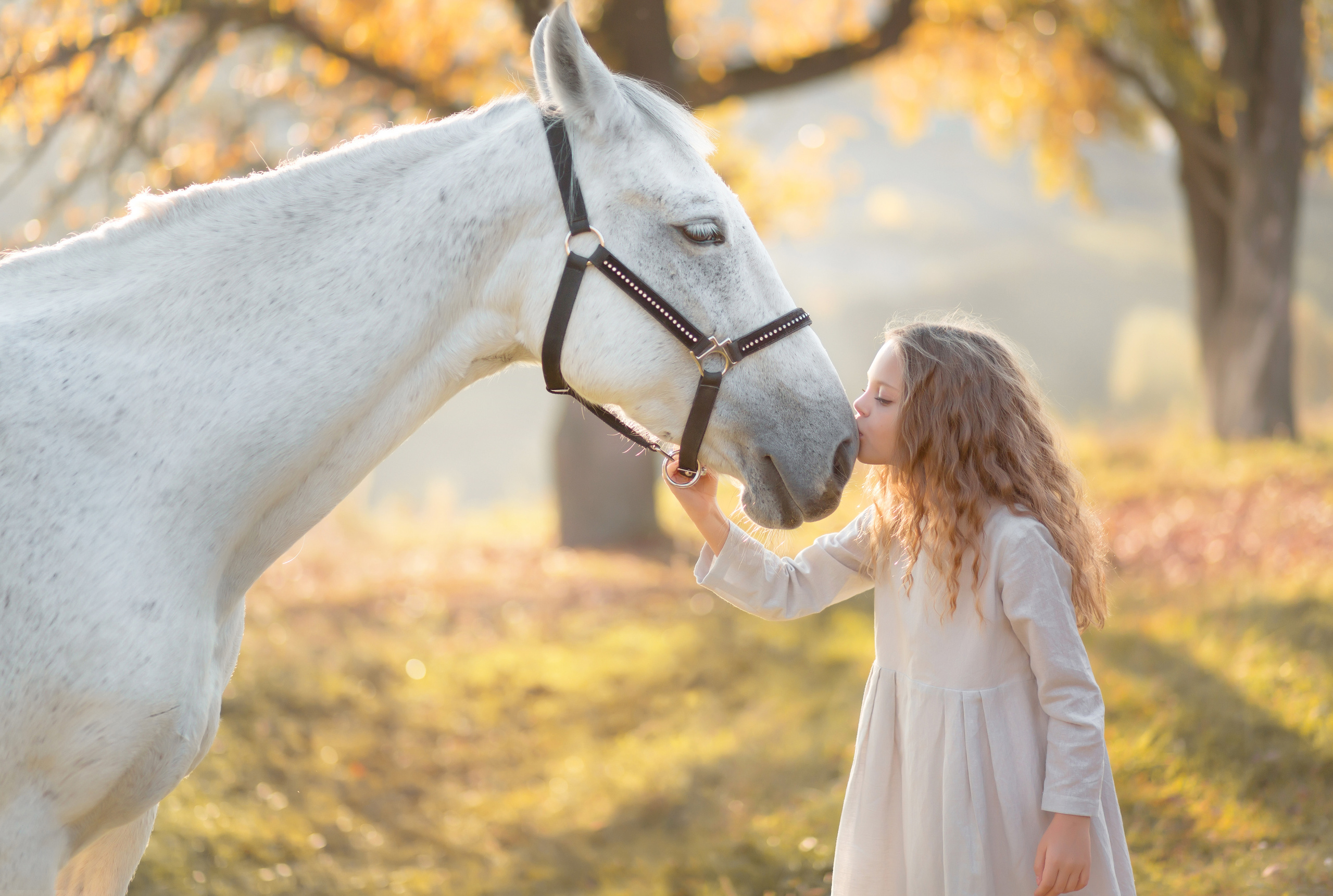 Сім’я / діти. Професійний фотограф в Вінниці Наталя Король