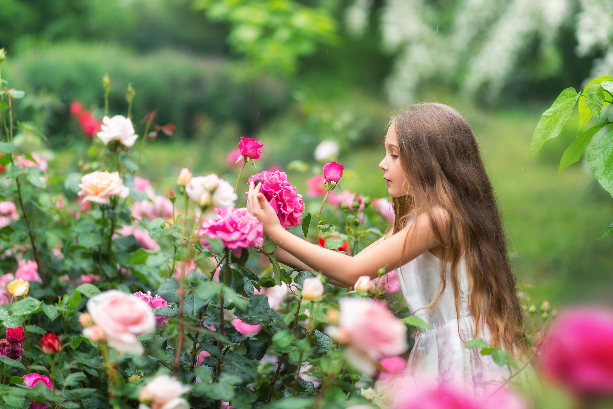 Сім’я / діти. Професійний фотограф в Вінниці Наталя Король
