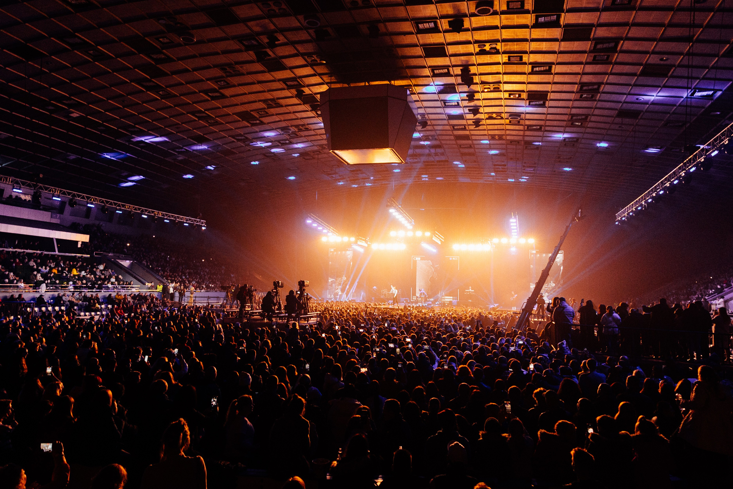 Антитіла. Misha Zaitsev