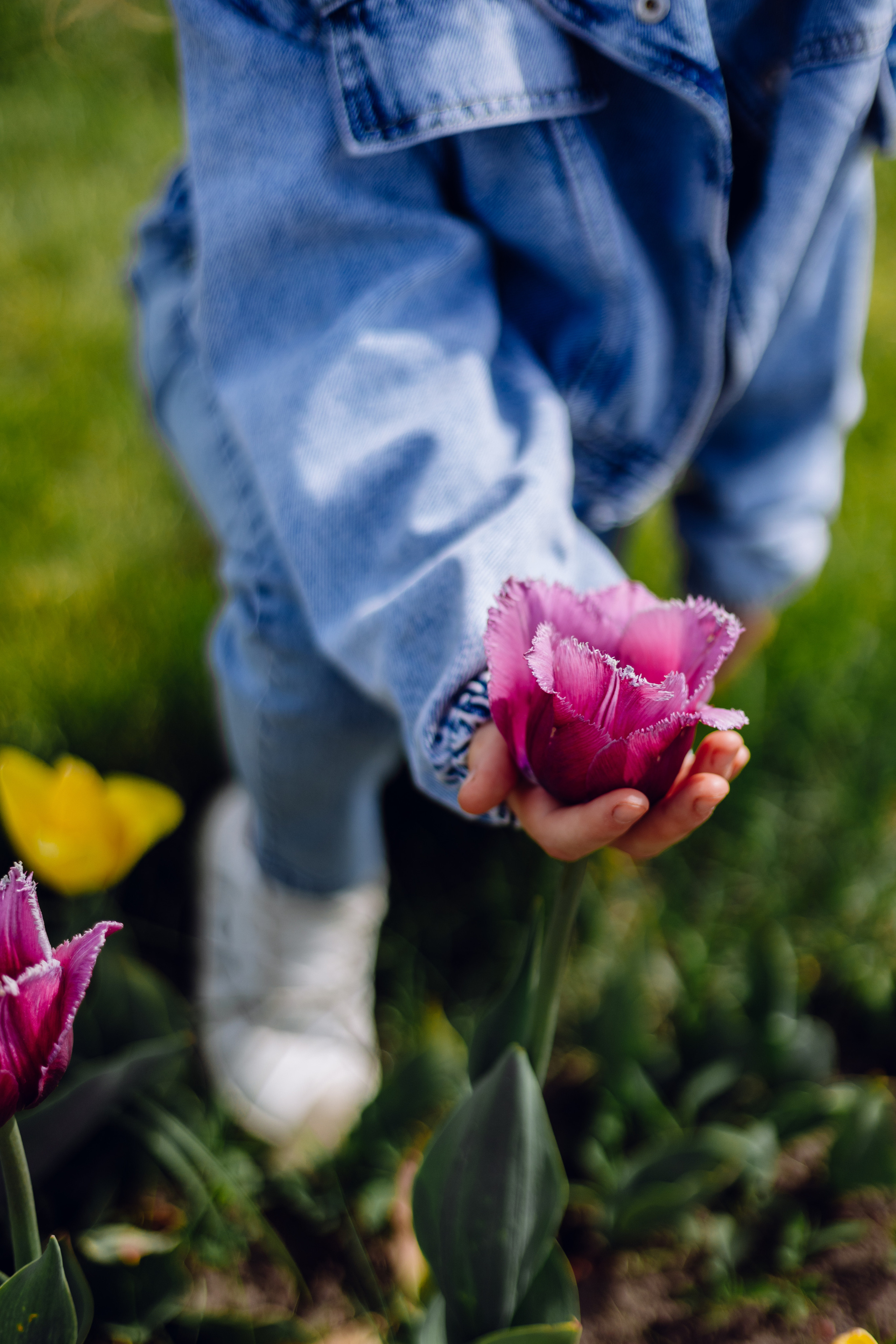 Dobropark. Misha Zaitsev