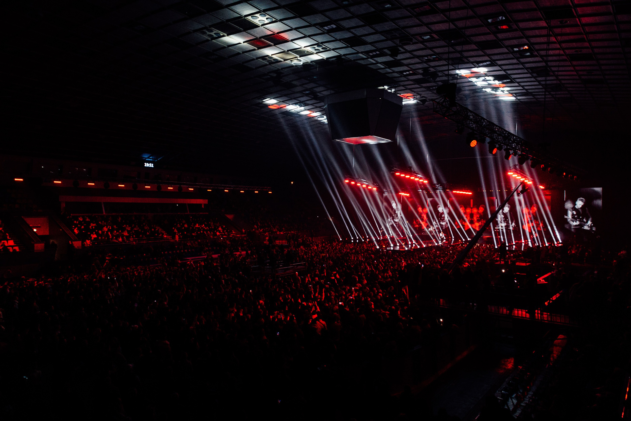 Антитіла. Misha Zaitsev