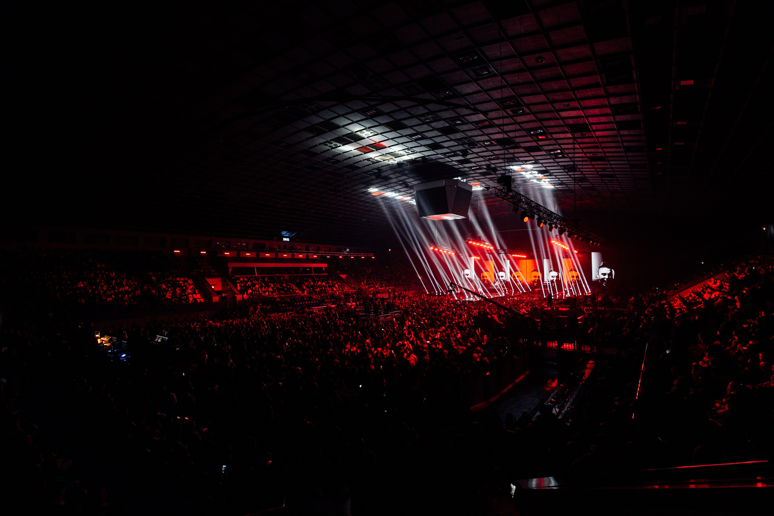 Антитіла. Misha Zaitsev