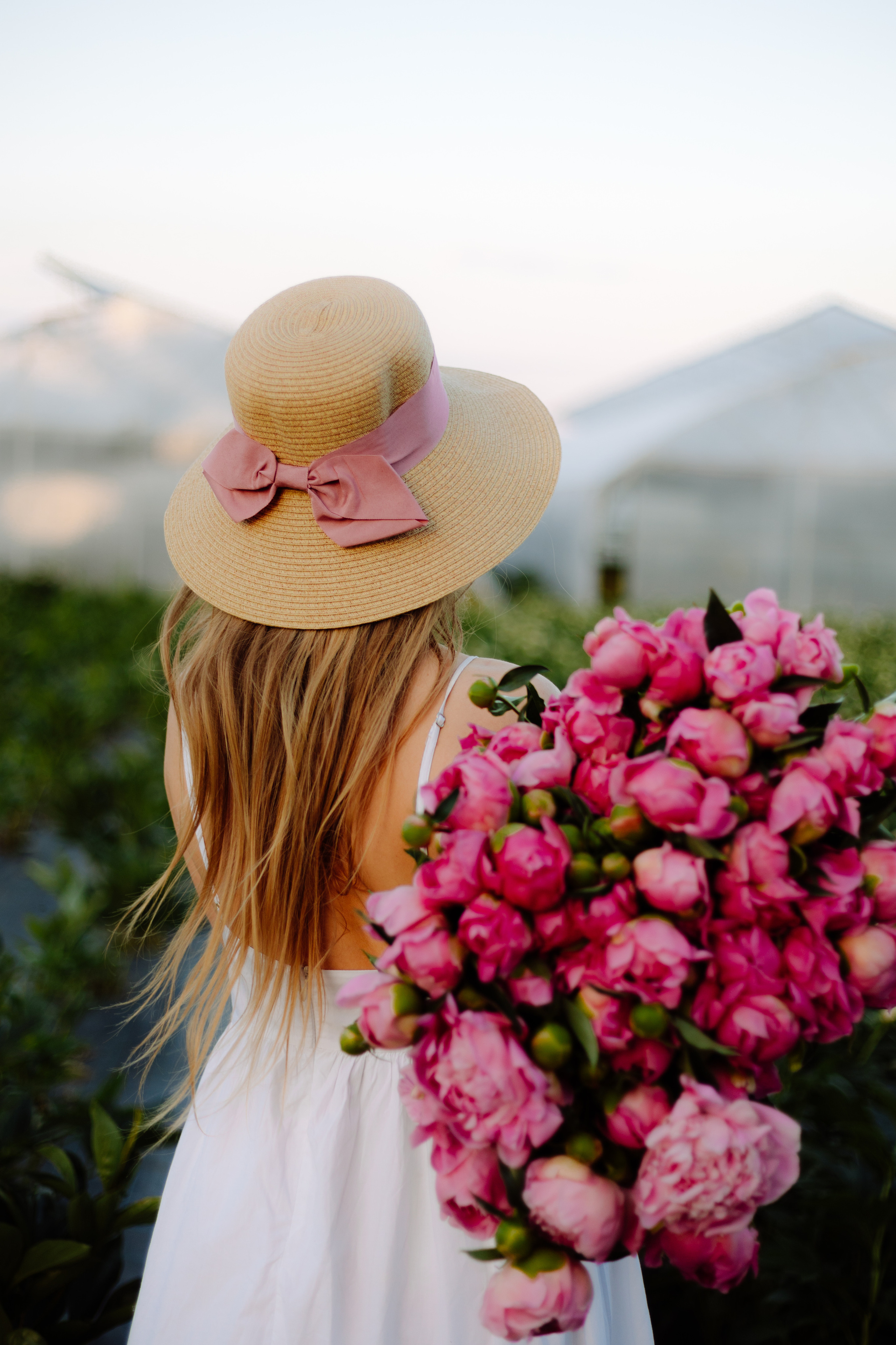 Villa verde. Misha Zaitsev