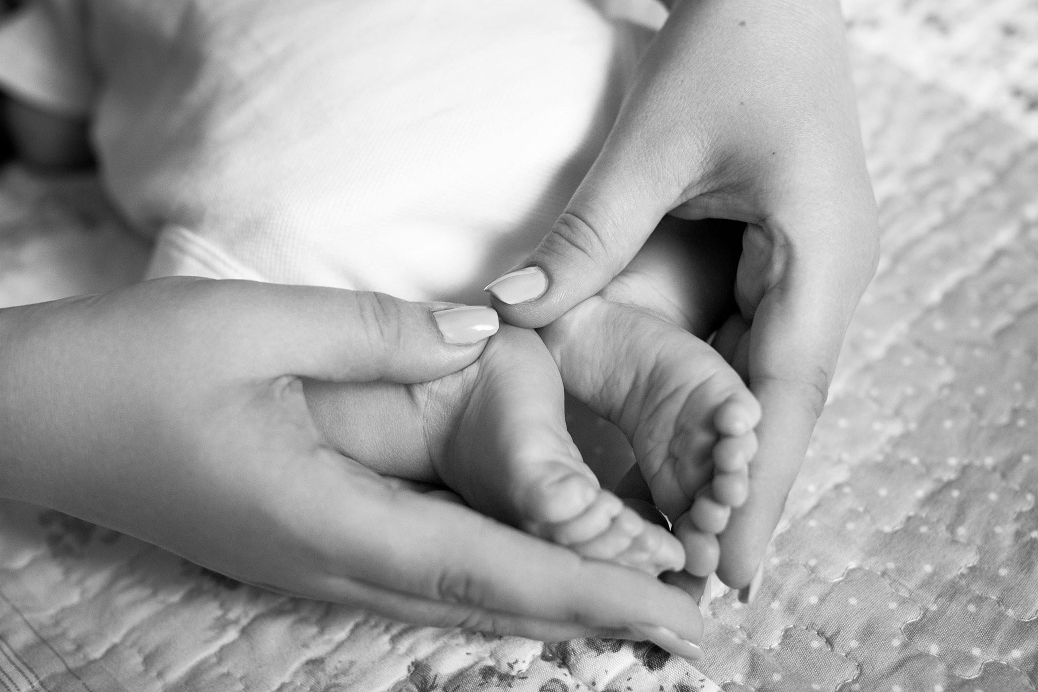 Фотосесії Чернівці Юрій Паліброда