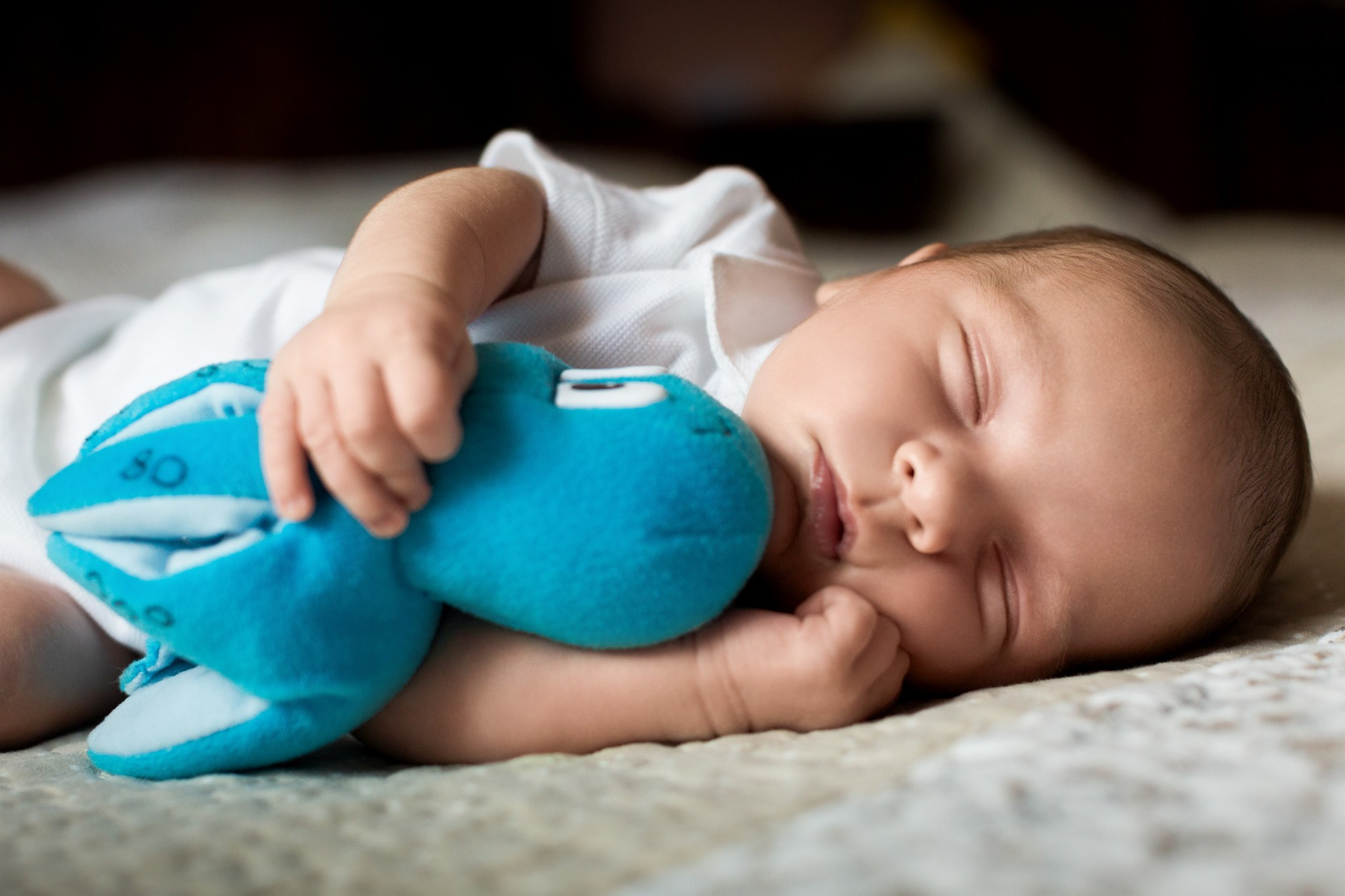 Фотосесії Чернівці Юрій Паліброда