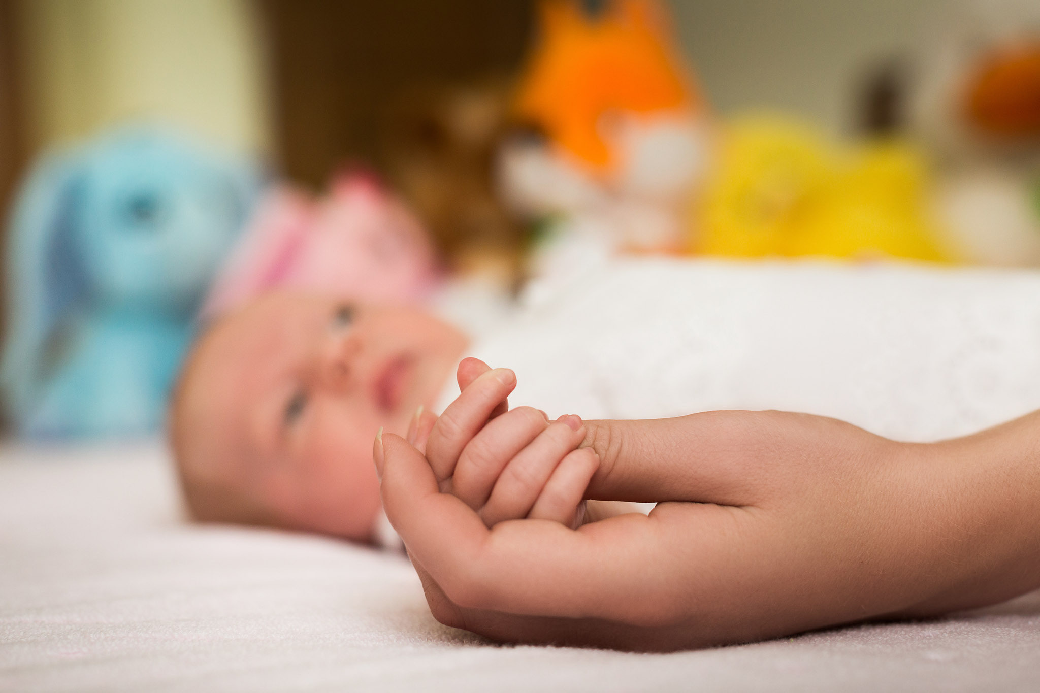 Фотосесії Чернівці Юрій Паліброда