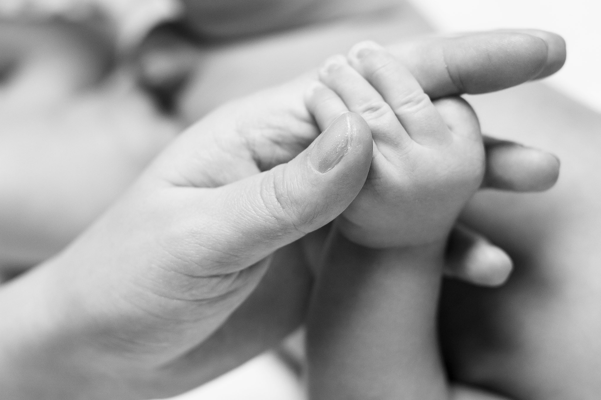 Фотосесії Чернівці Юрій Паліброда