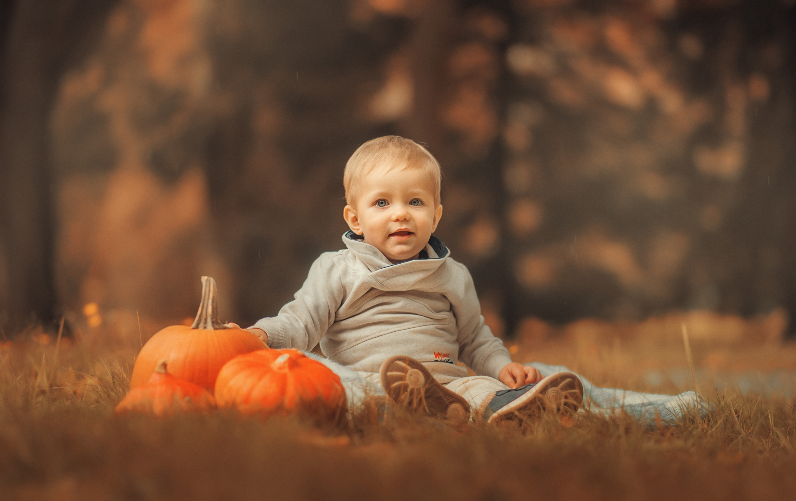 Autumn. Главная