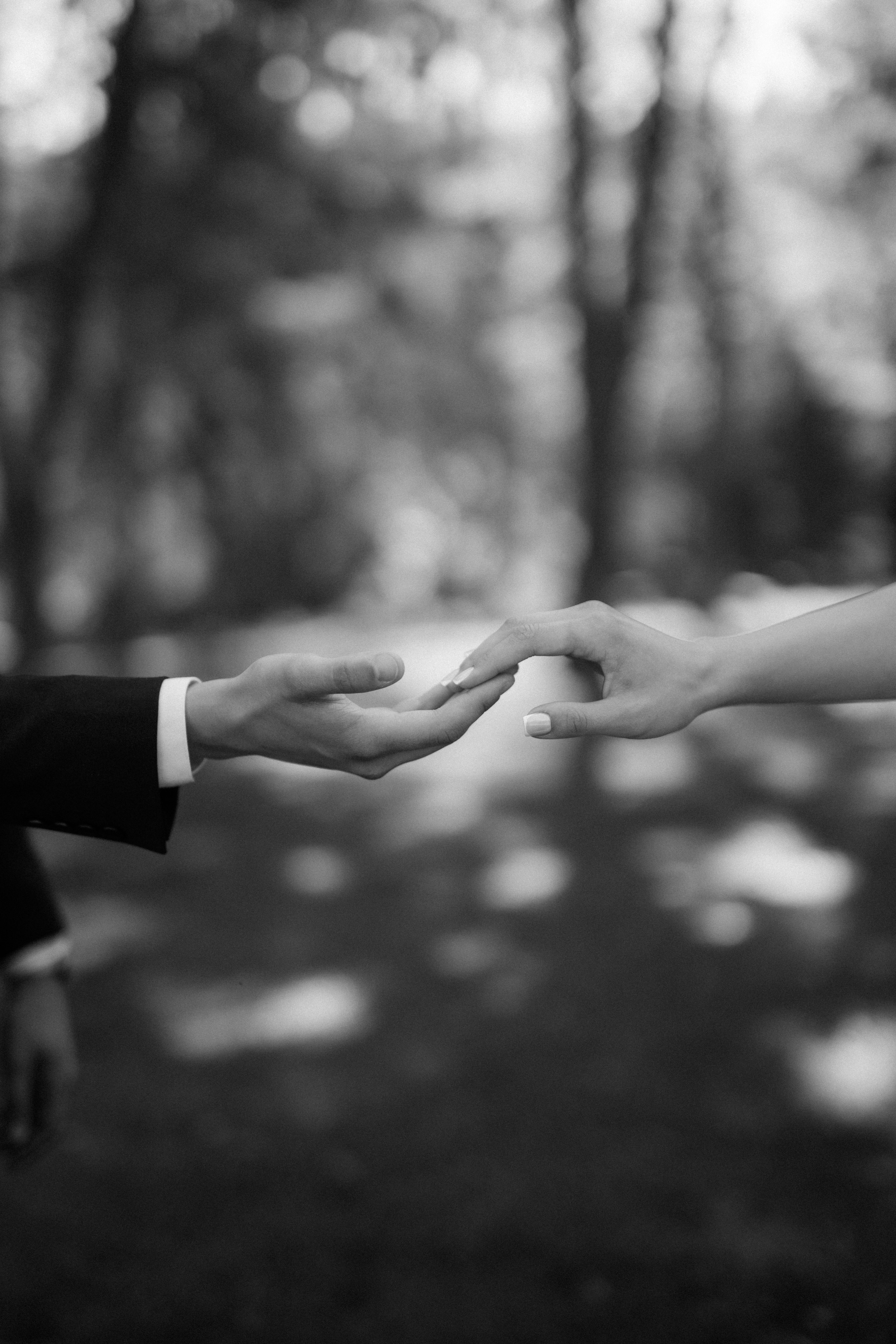 Віталій + Аня. Весільний фотограф Ілля Пятнічний Вінниця