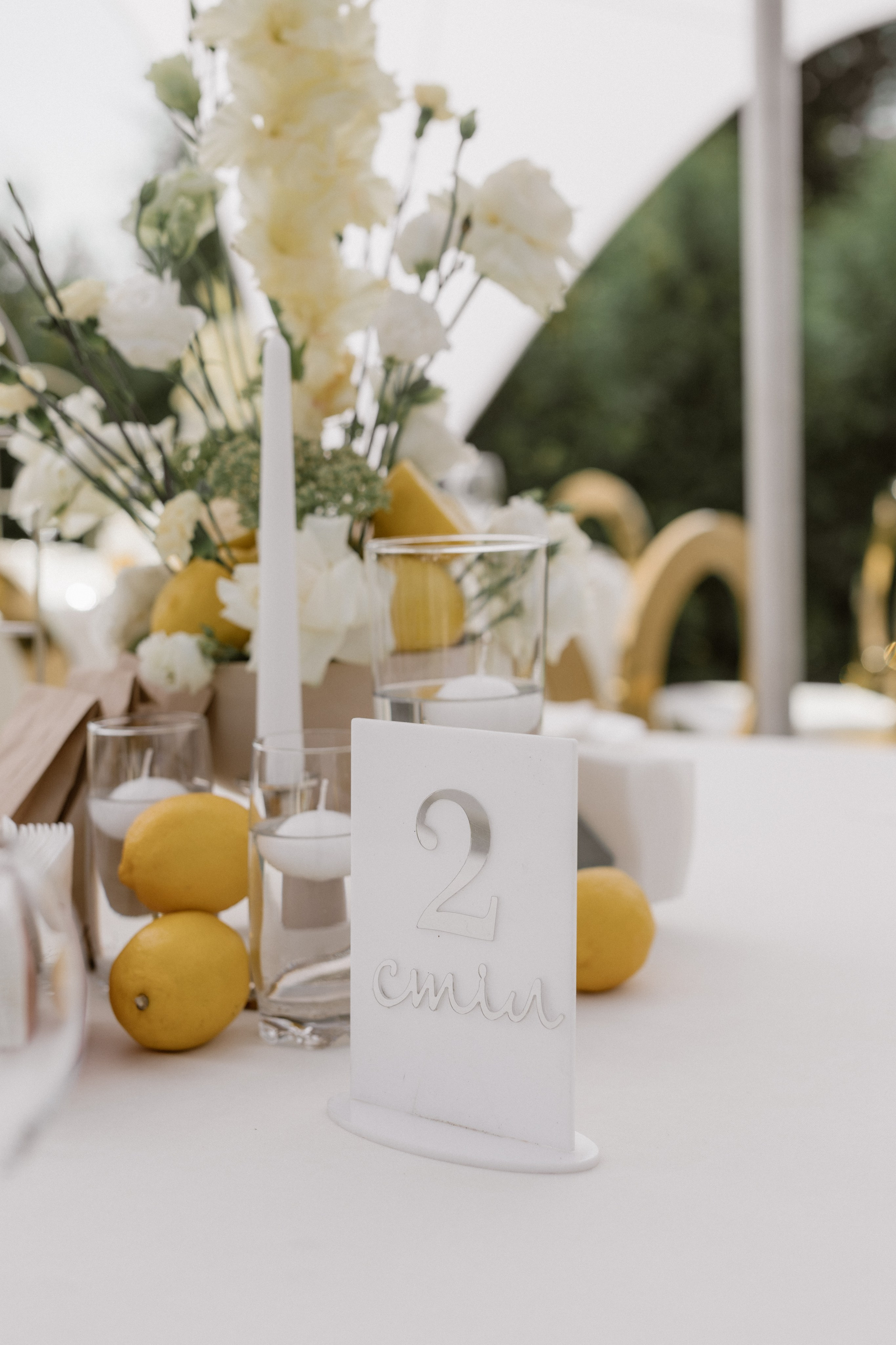 Богдан + Таня. Весільний фотограф Ілля Пятнічний Вінниця