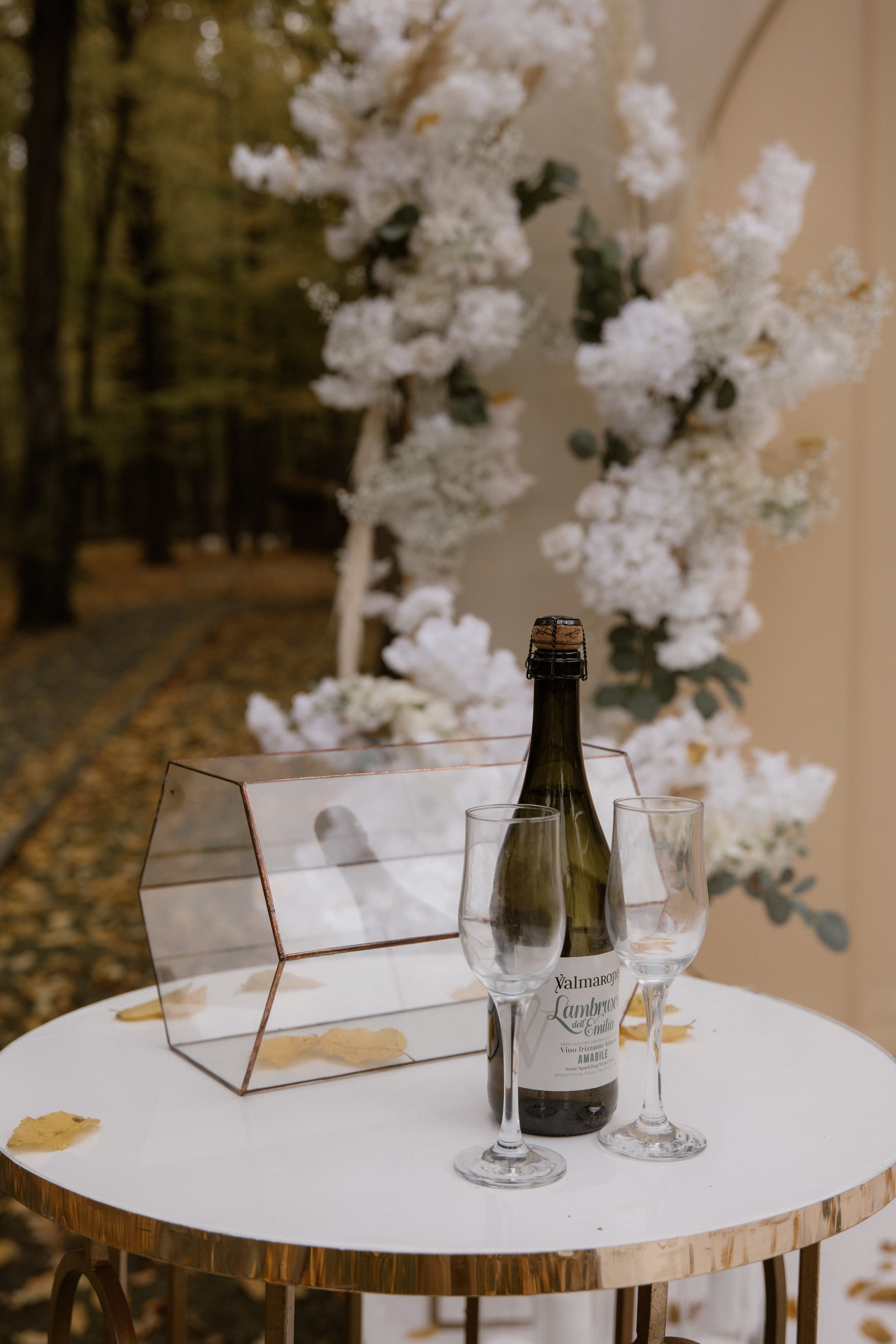 Валік + Ілона. Весільний фотограф Ілля Пятнічний Вінниця