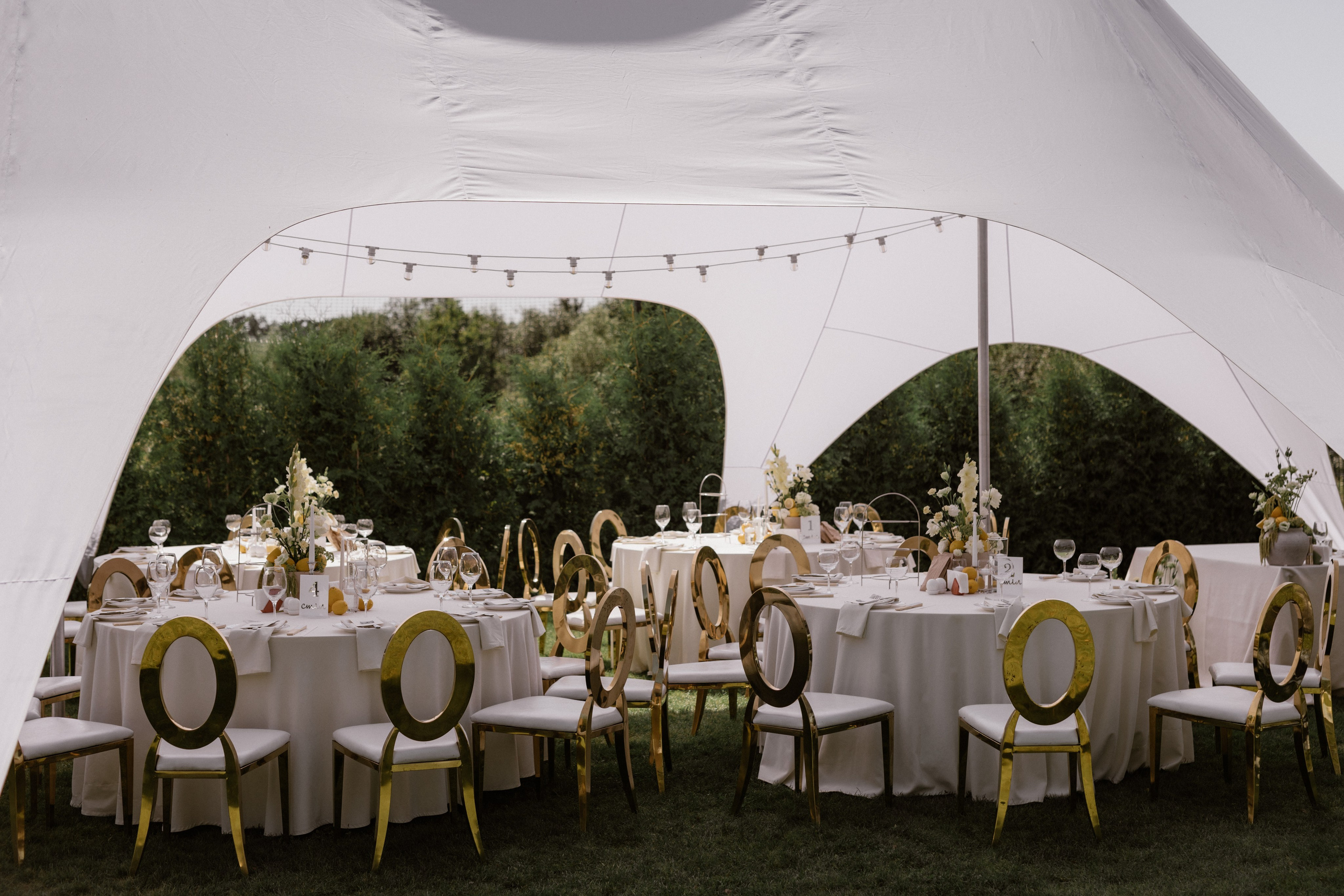 Богдан + Таня. Весільний фотограф Ілля Пятнічний Вінниця