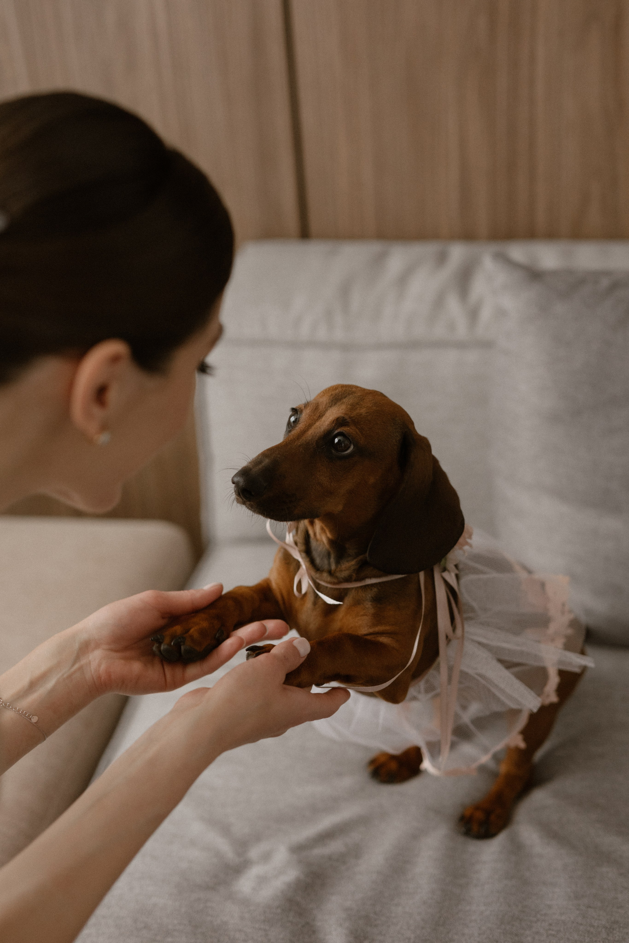 Денис + Софія. Весільний фотограф Ілля Пятнічний Вінниця