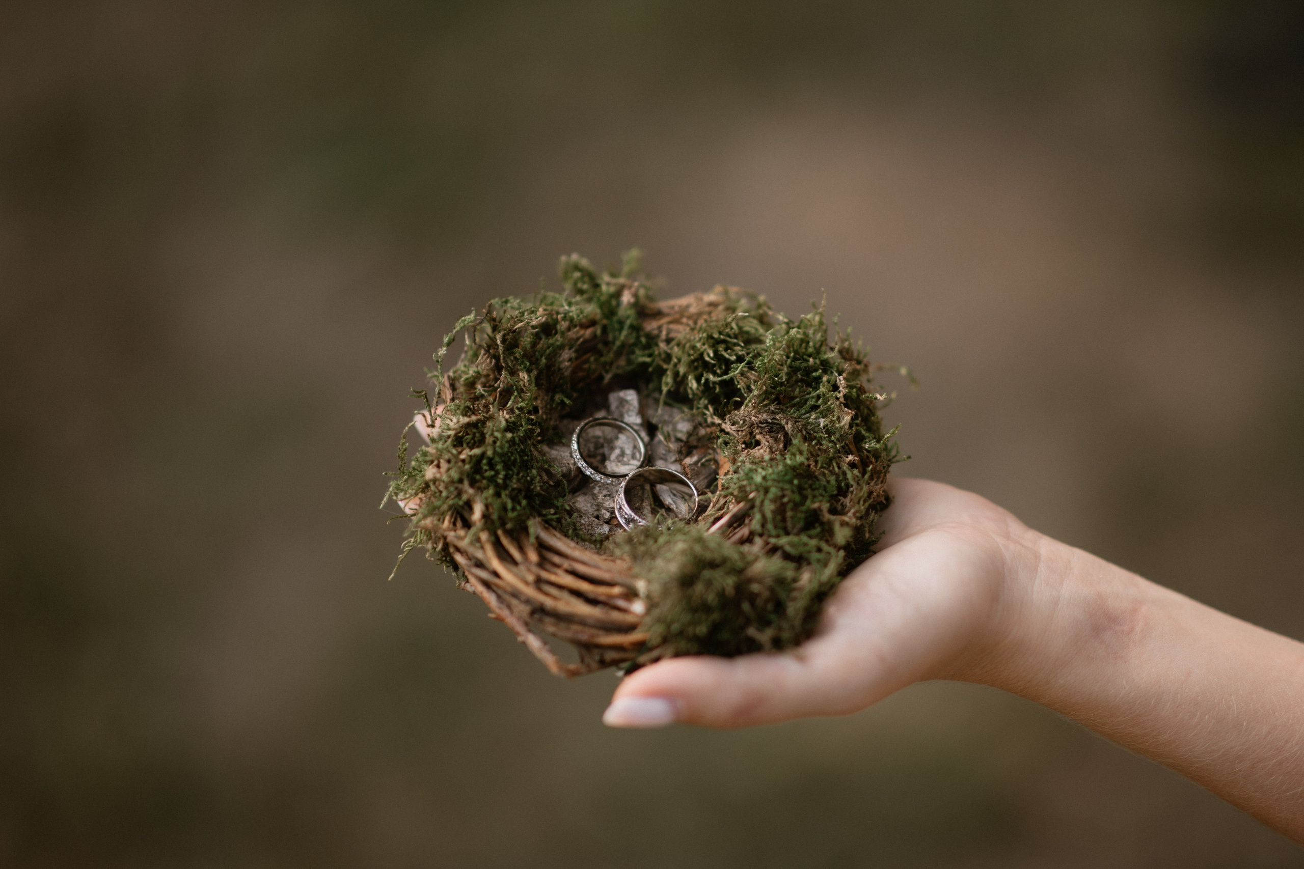 Влад + Яна. Весільний фотограф Ілля Пятнічний Вінниця