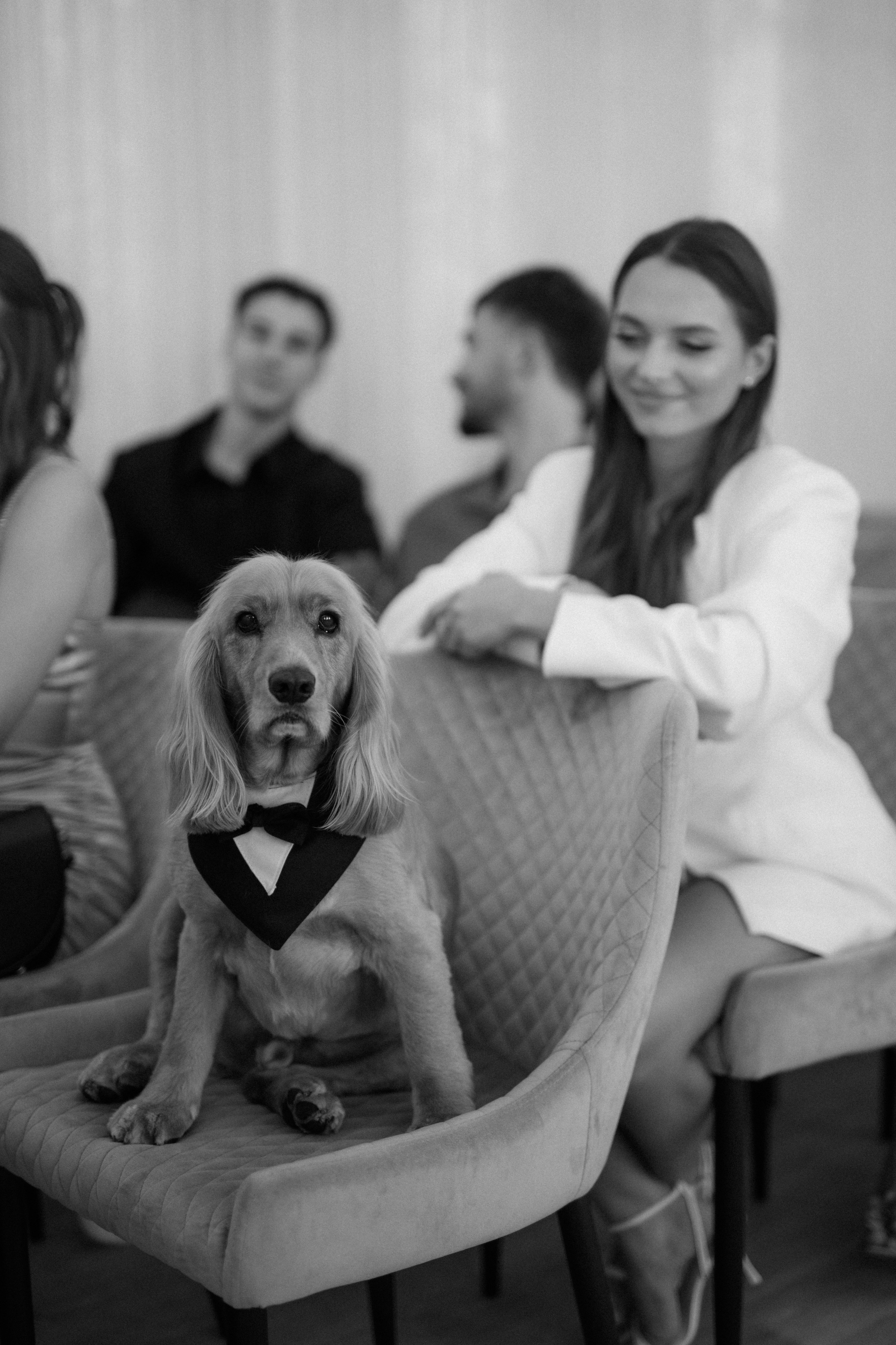 Богдан + Таня. Весільний фотограф Ілля Пятнічний Вінниця