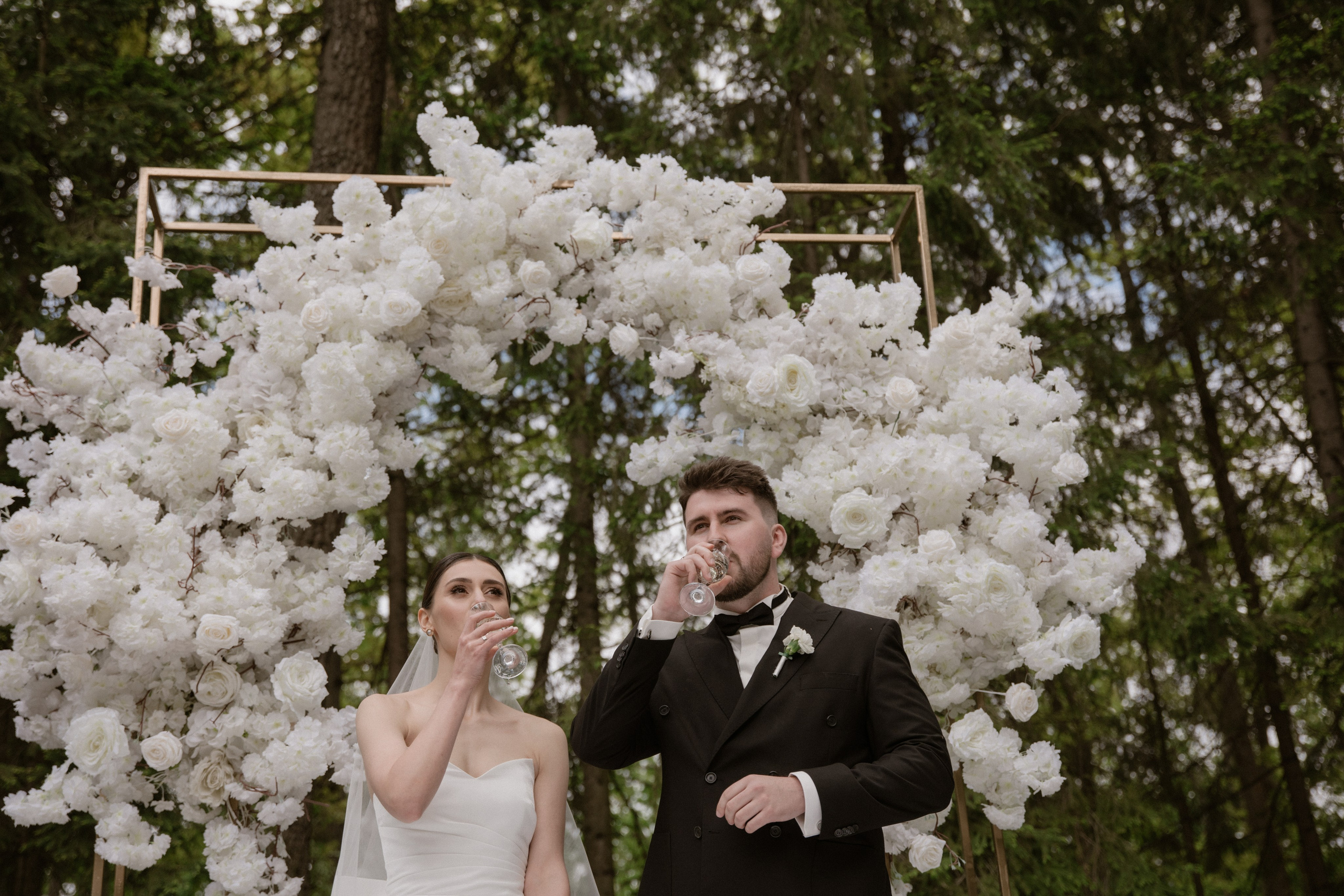 Денис + Софія. Весільний фотограф Ілля Пятнічний Вінниця