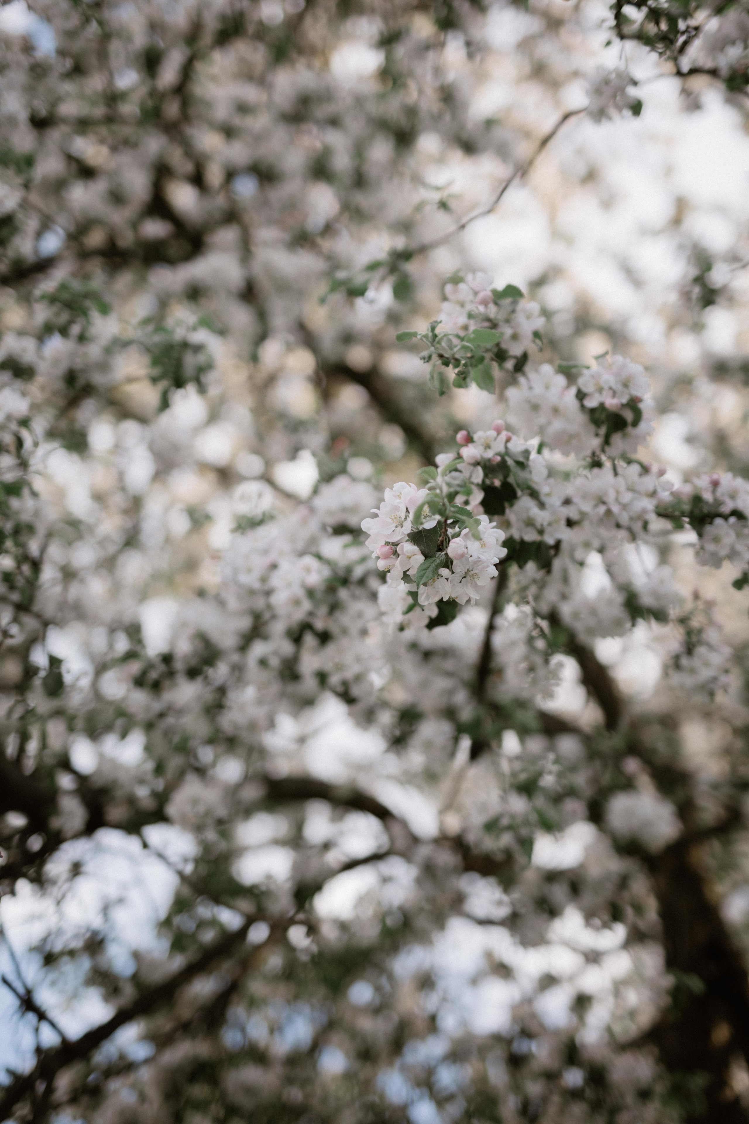 Артур + Саша. Весільний фотограф Ілля Пятнічний Вінниця