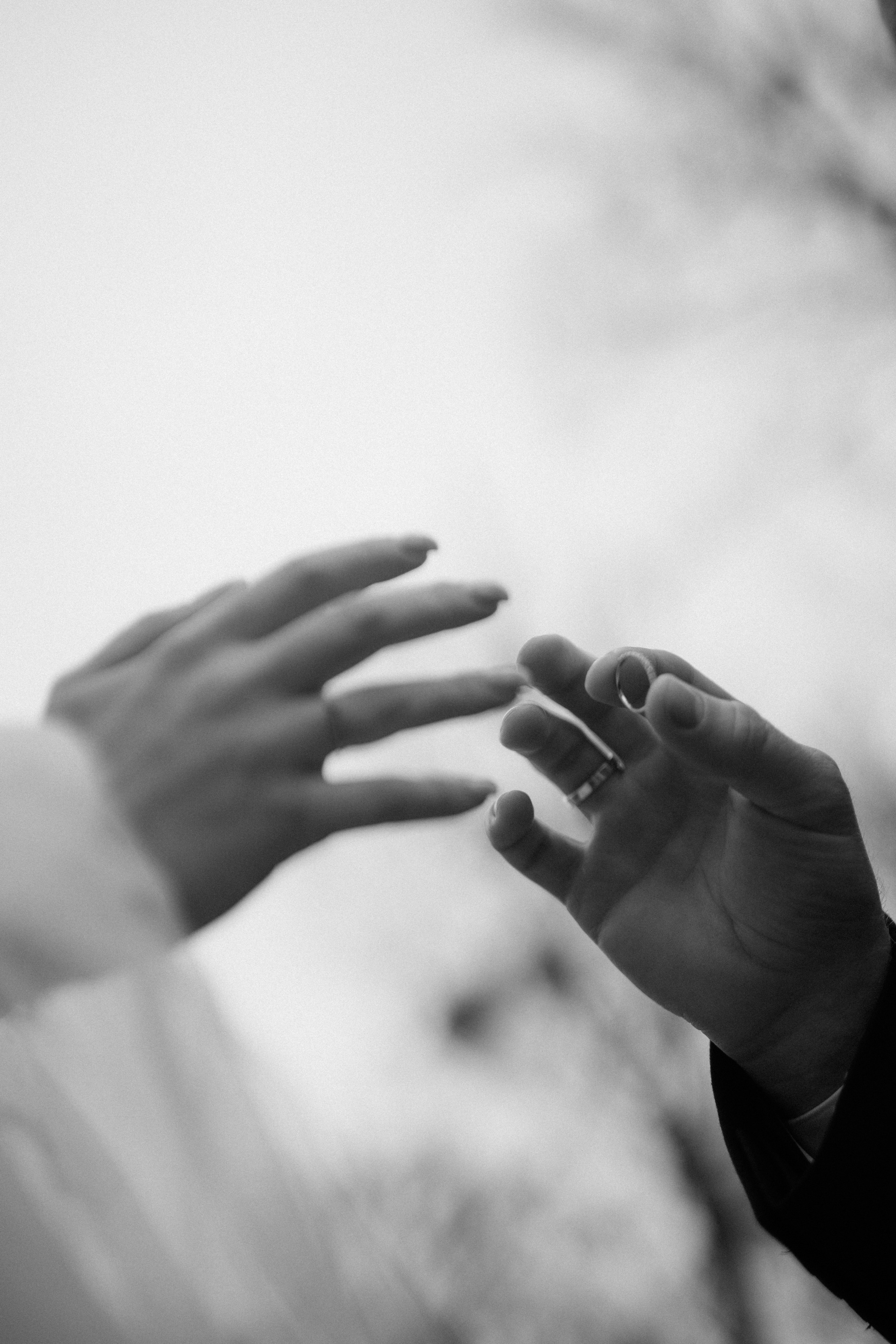 Діма + Настя. Весільний фотограф Ілля Пятнічний Вінниця